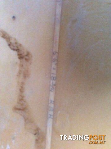 2 surf boards some dings fair condition - photo 3 of 3
