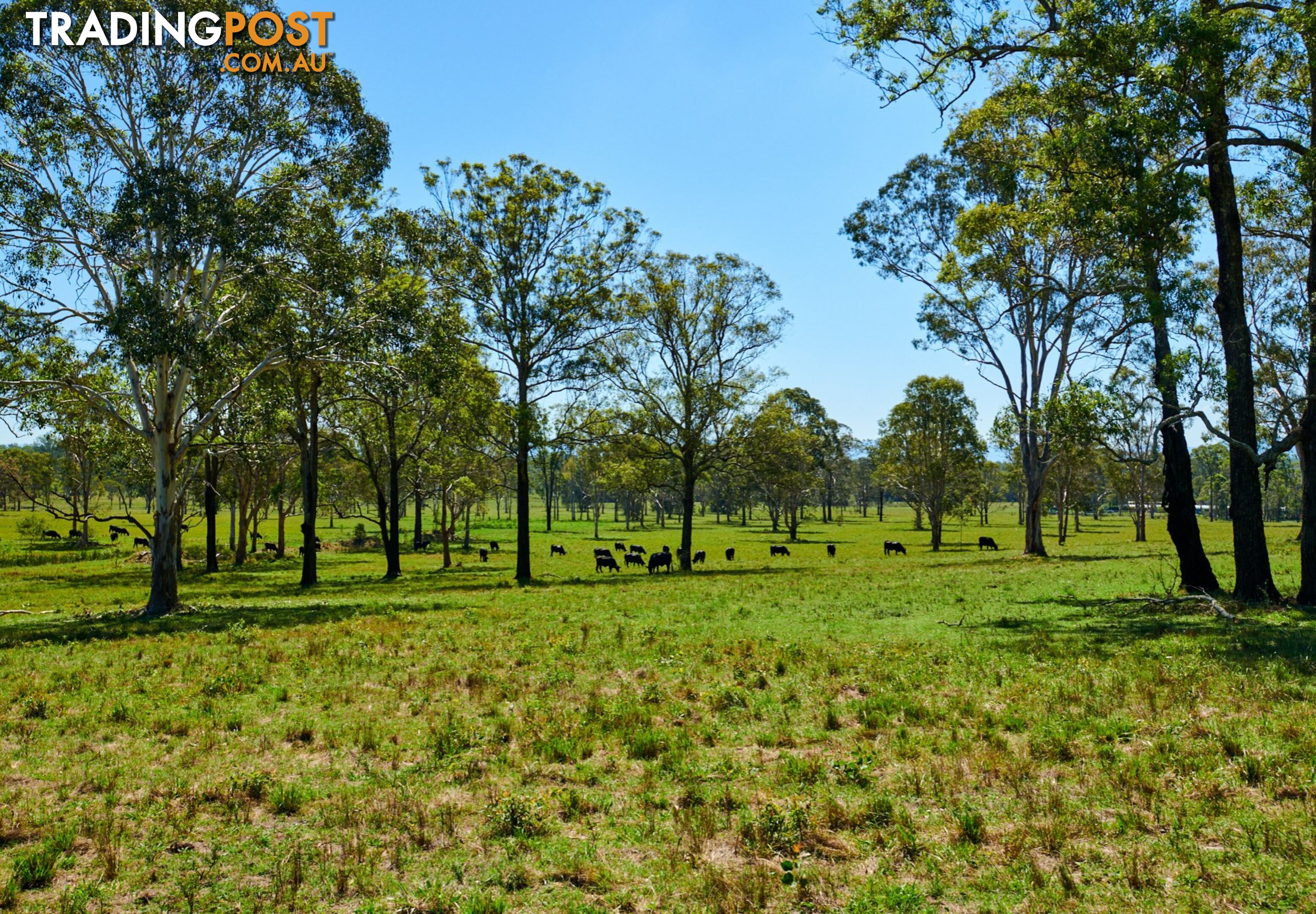 Lot 306 Urara Lane TAREE NSW 2430