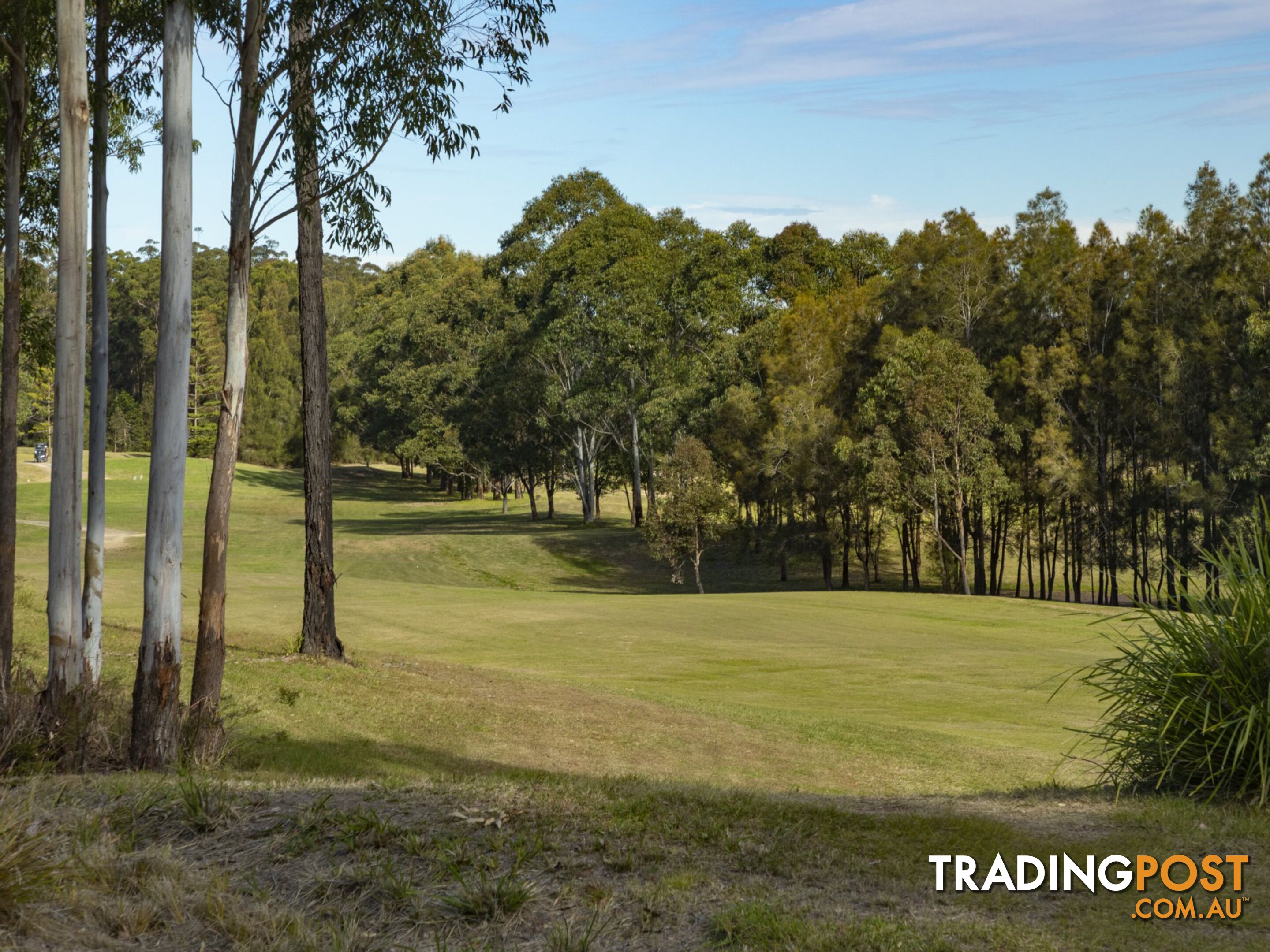 1 The Fairway TALLWOODS VILLAGE NSW 2430