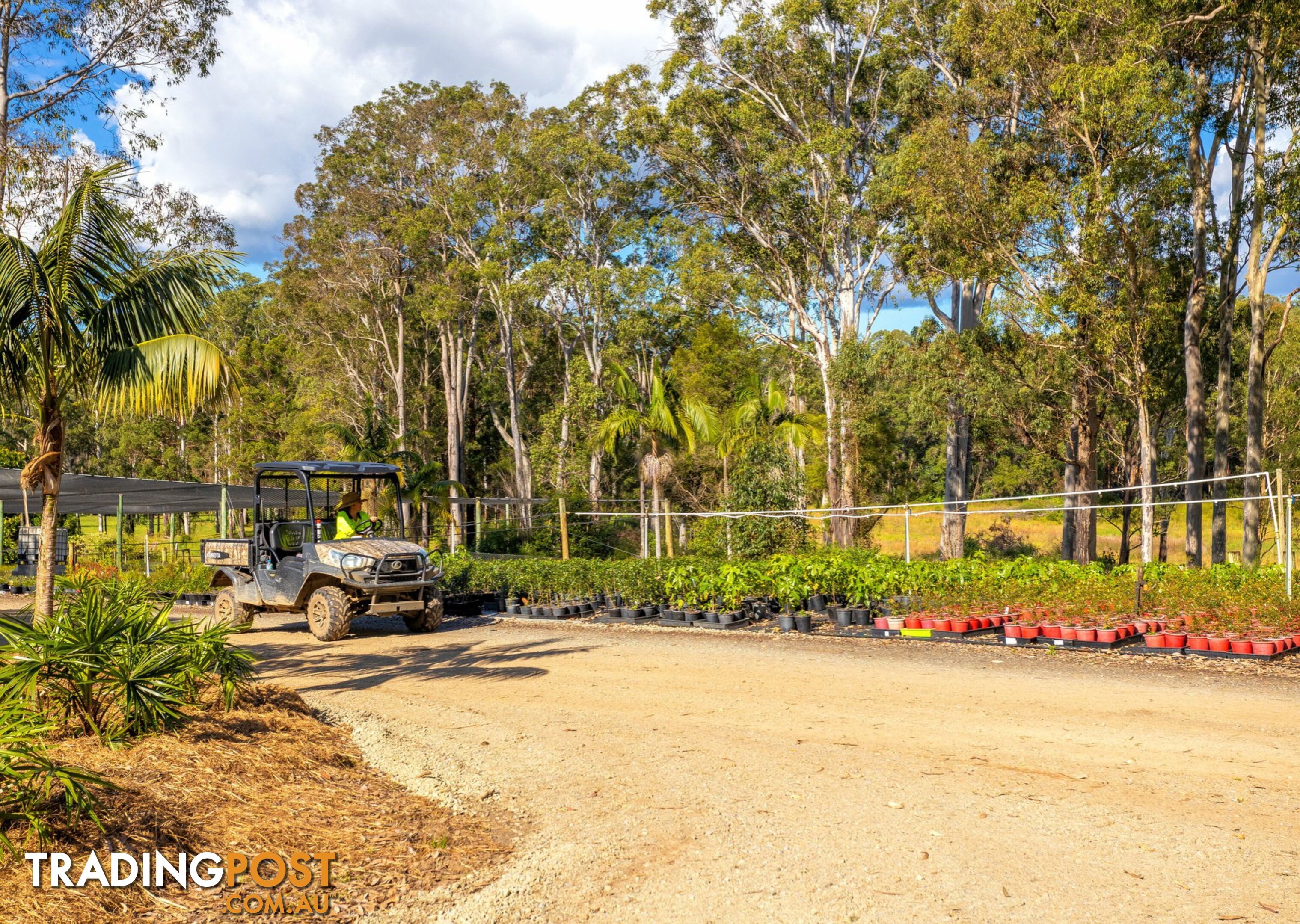 Parkland Wholesale Nursery TINONEE NSW 2430