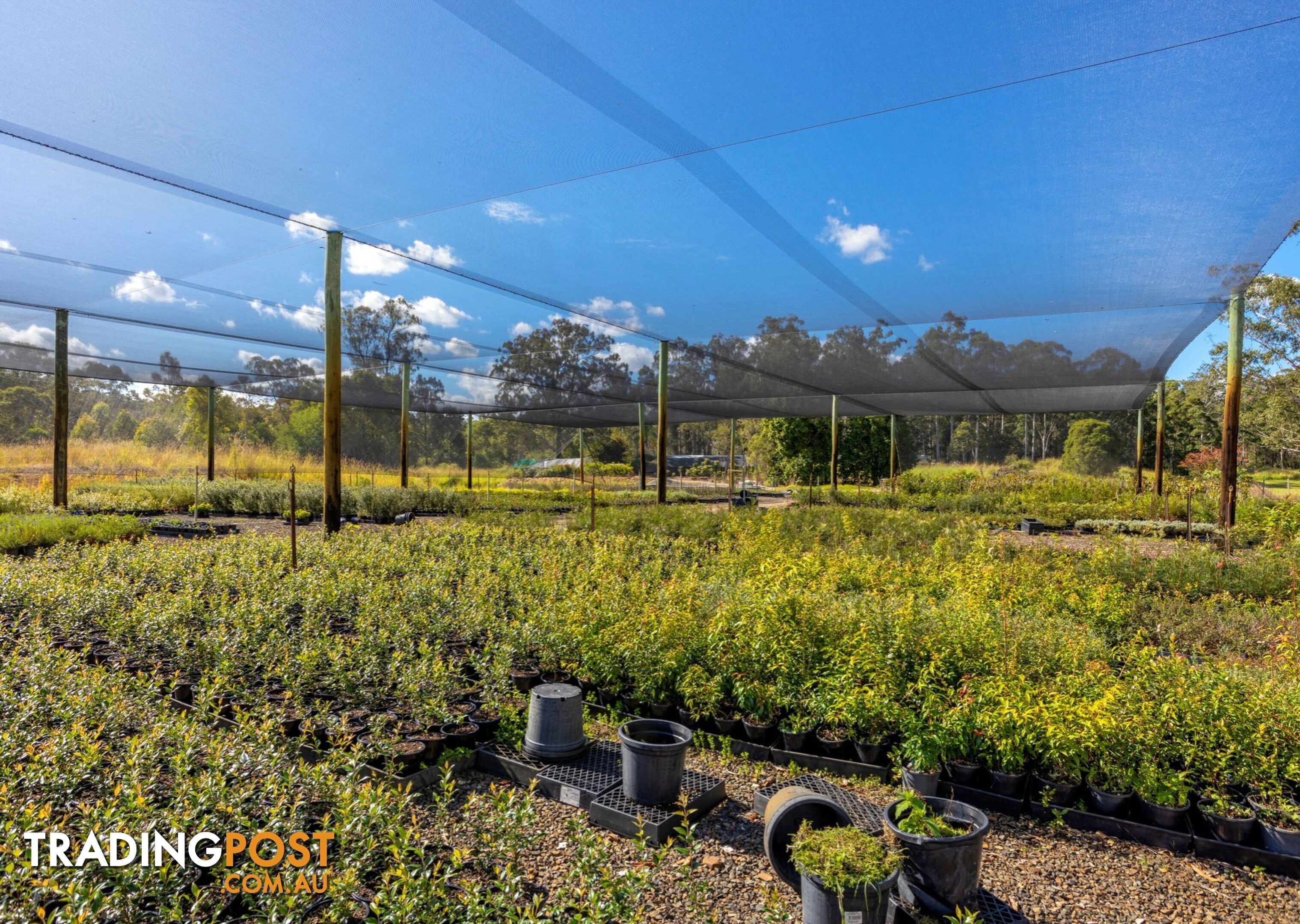 Parkland Wholesale Nursery TINONEE NSW 2430