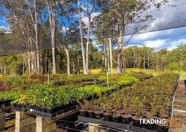 Parkland Wholesale Nursery TINONEE NSW 2430