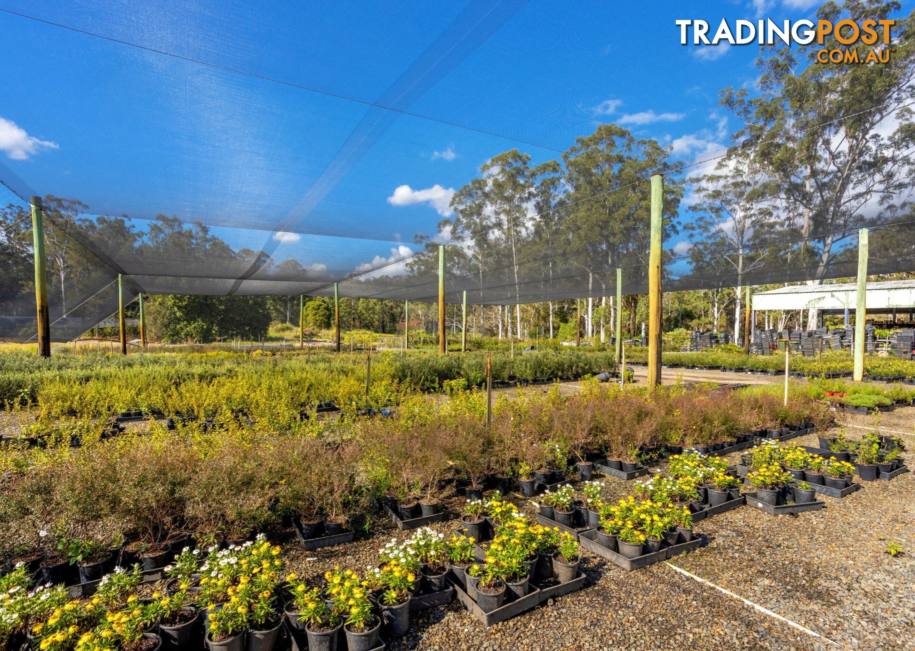 Parkland Wholesale Nursery TINONEE NSW 2430