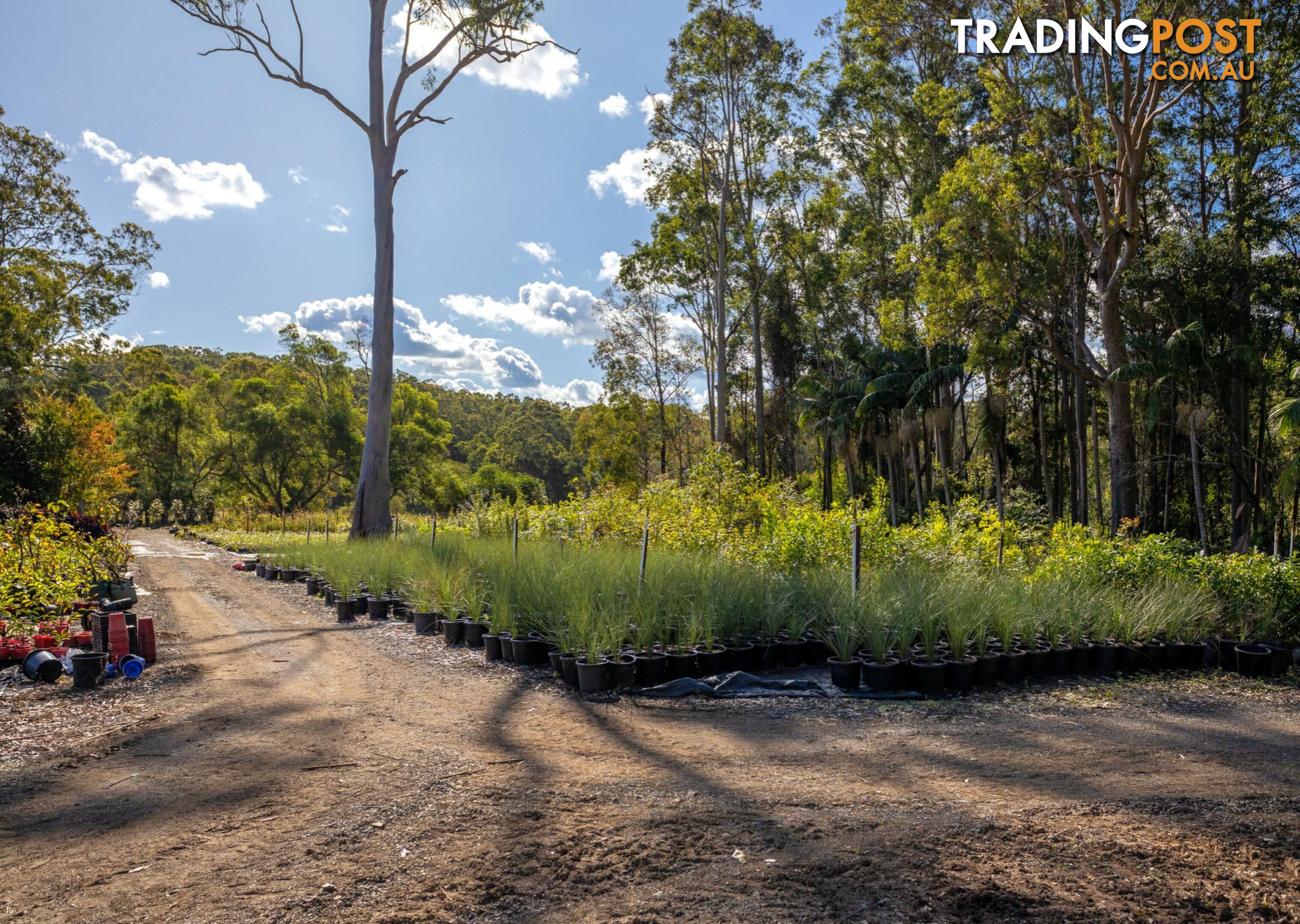 Parkland Wholesale Nursery TINONEE NSW 2430