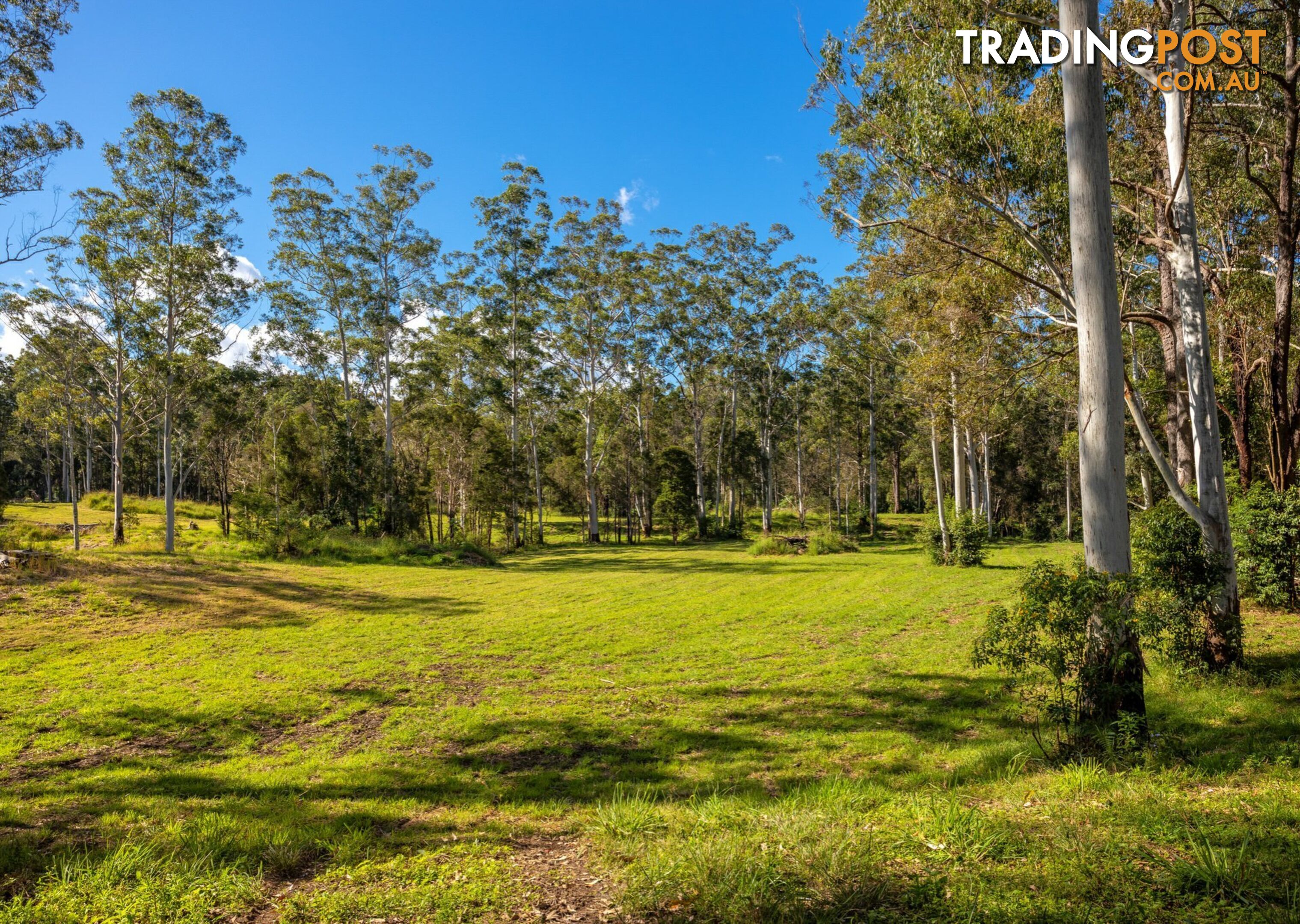 Parkland Wholesale Nursery TINONEE NSW 2430