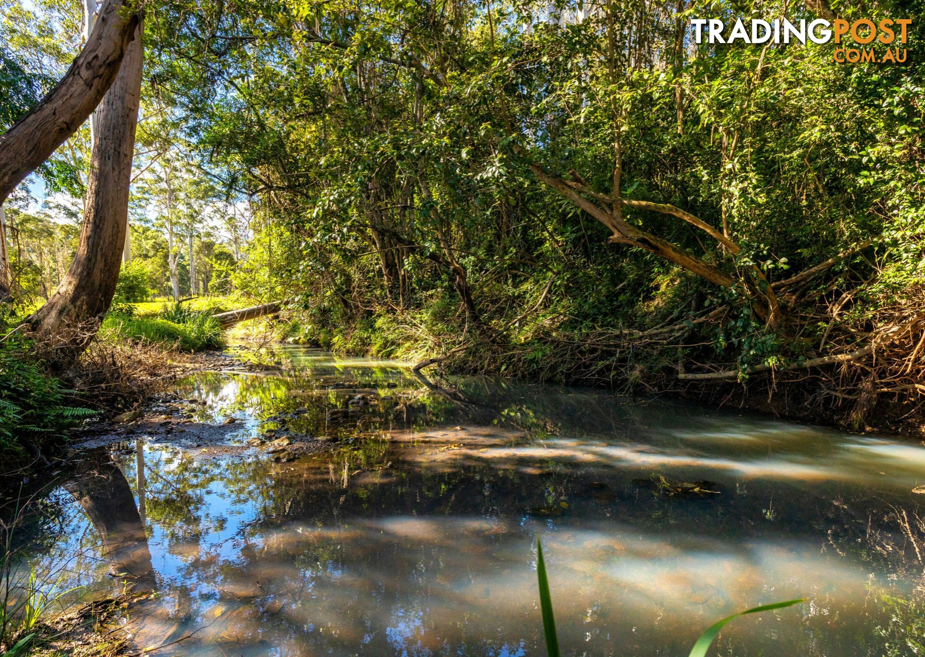 Parkland Wholesale Nursery TINONEE NSW 2430