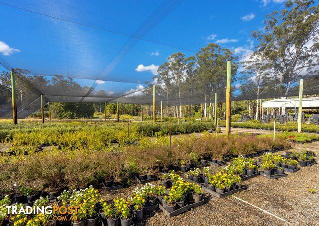 Parkland Wholesale Nursery TINONEE NSW 2430