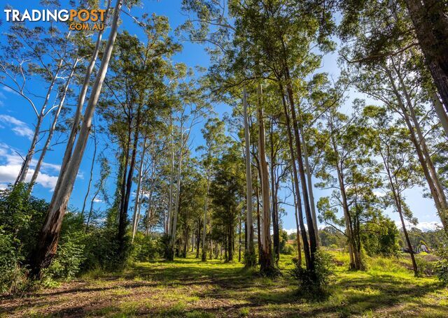 Parkland Wholesale Nursery TINONEE NSW 2430