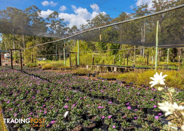 Parkland Wholesale Nursery TINONEE NSW 2430