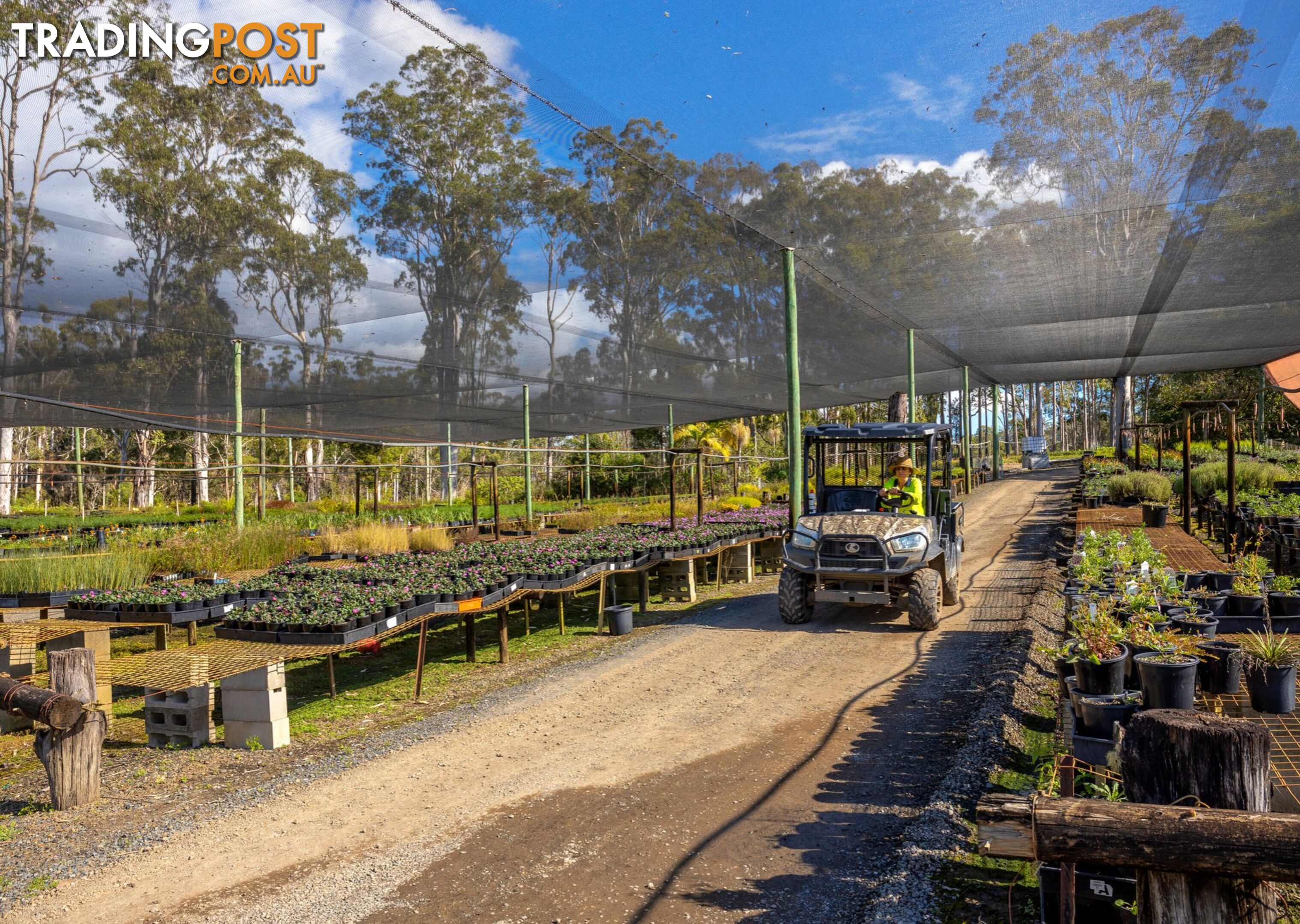 Parkland Wholesale Nursery TINONEE NSW 2430