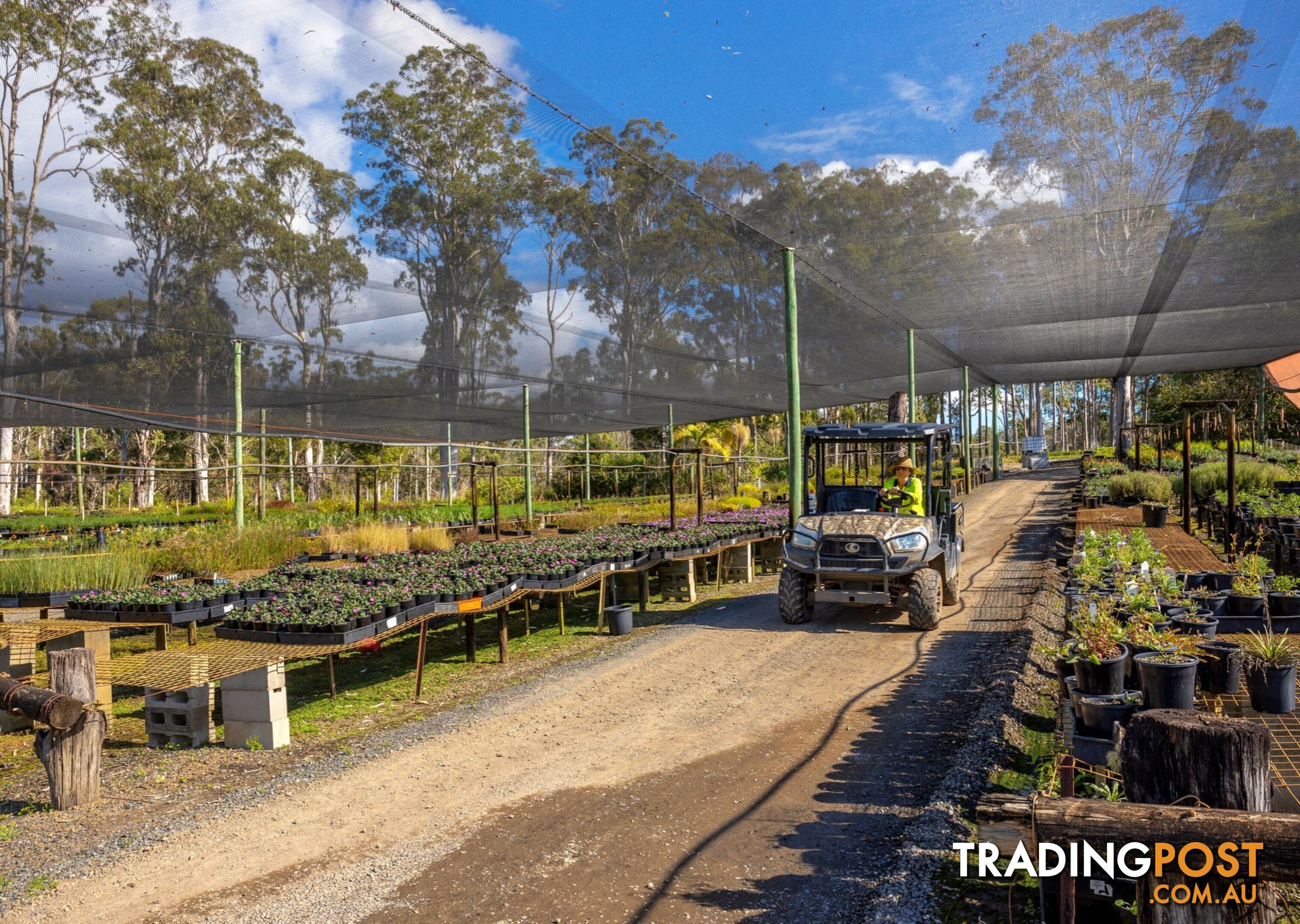 Parkland Wholesale Nursery TINONEE NSW 2430