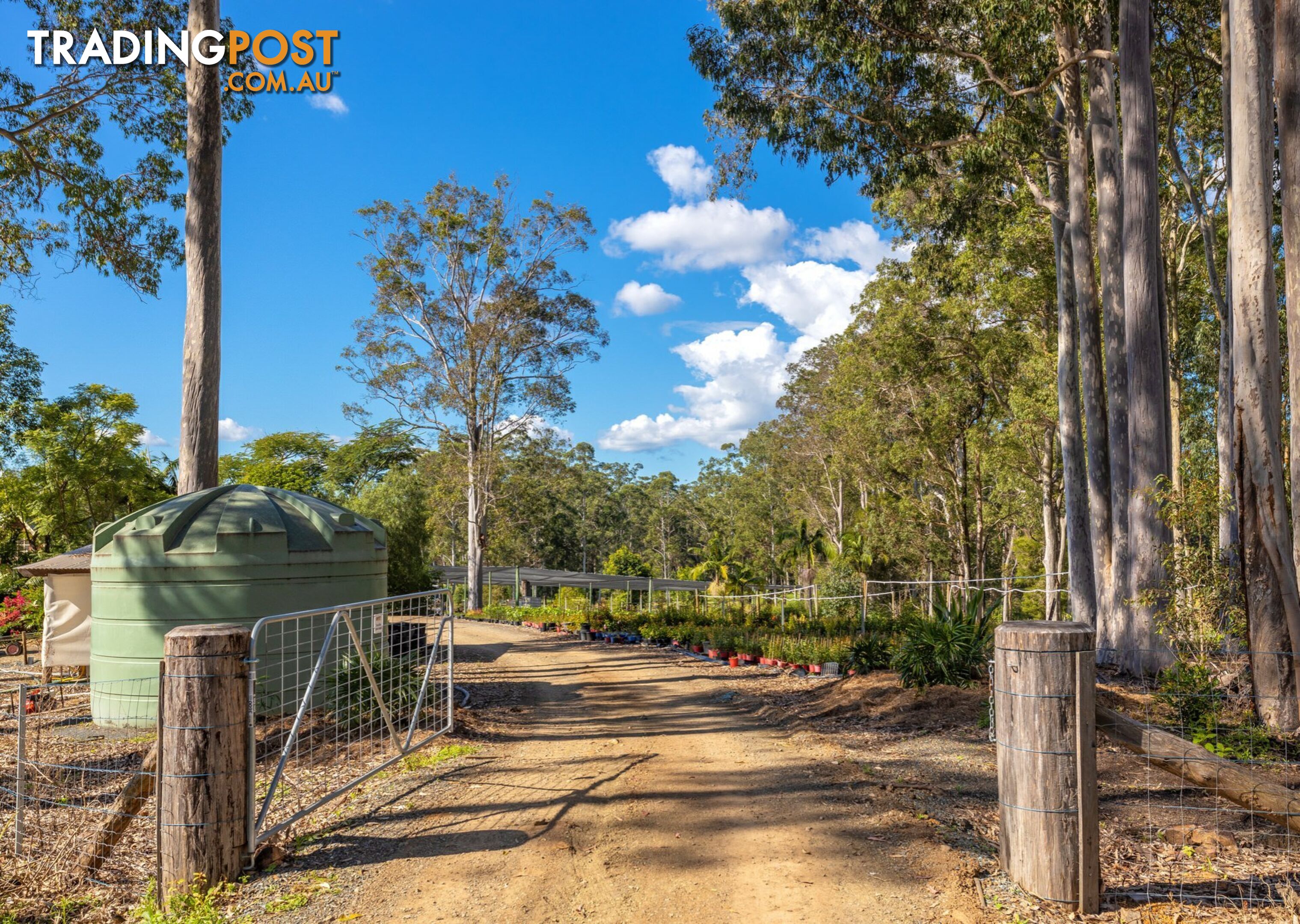 Parkland Wholesale Nursery TINONEE NSW 2430