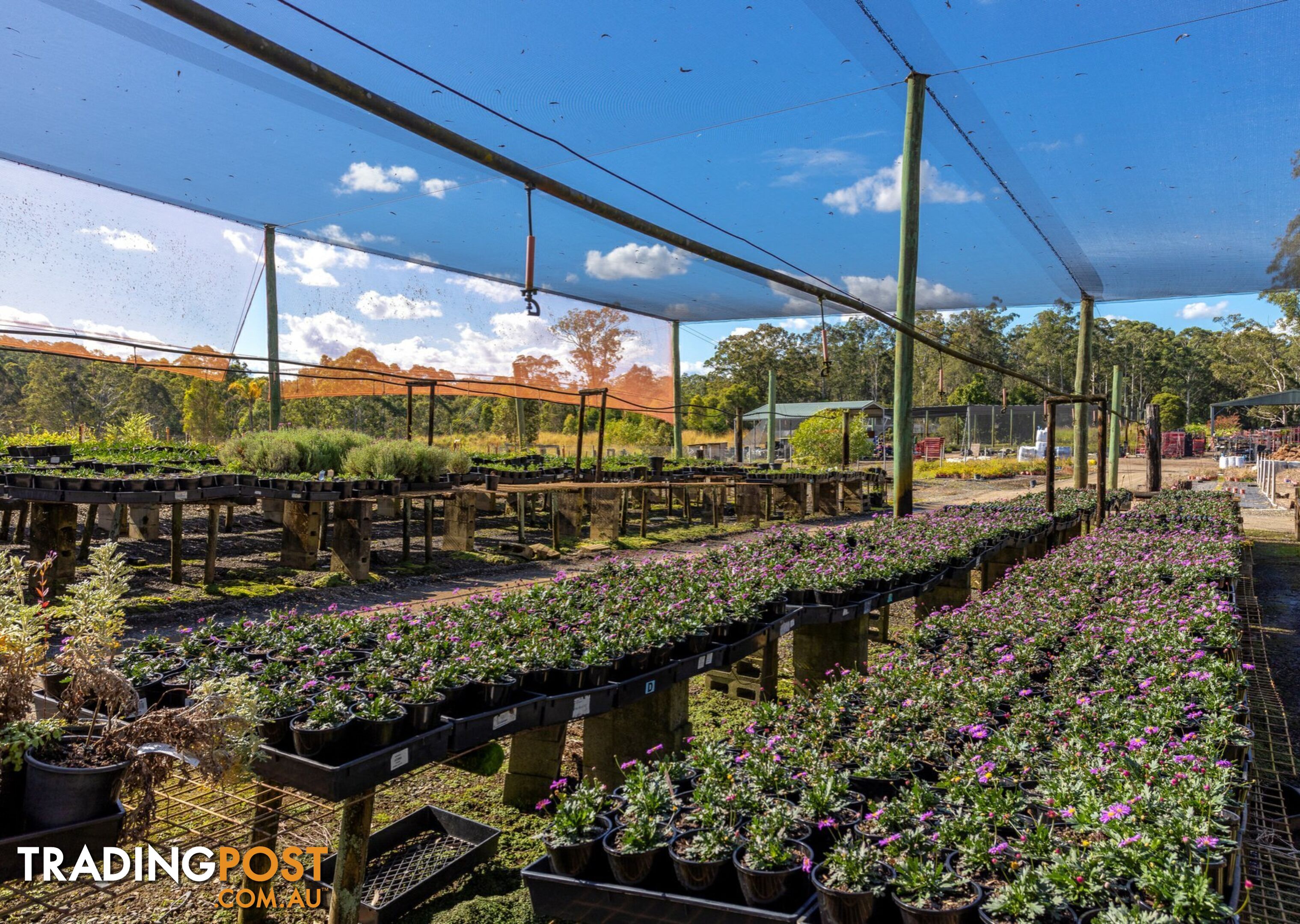 Parkland Wholesale Nursery TINONEE NSW 2430