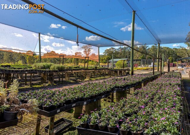 Parkland Wholesale Nursery TINONEE NSW 2430