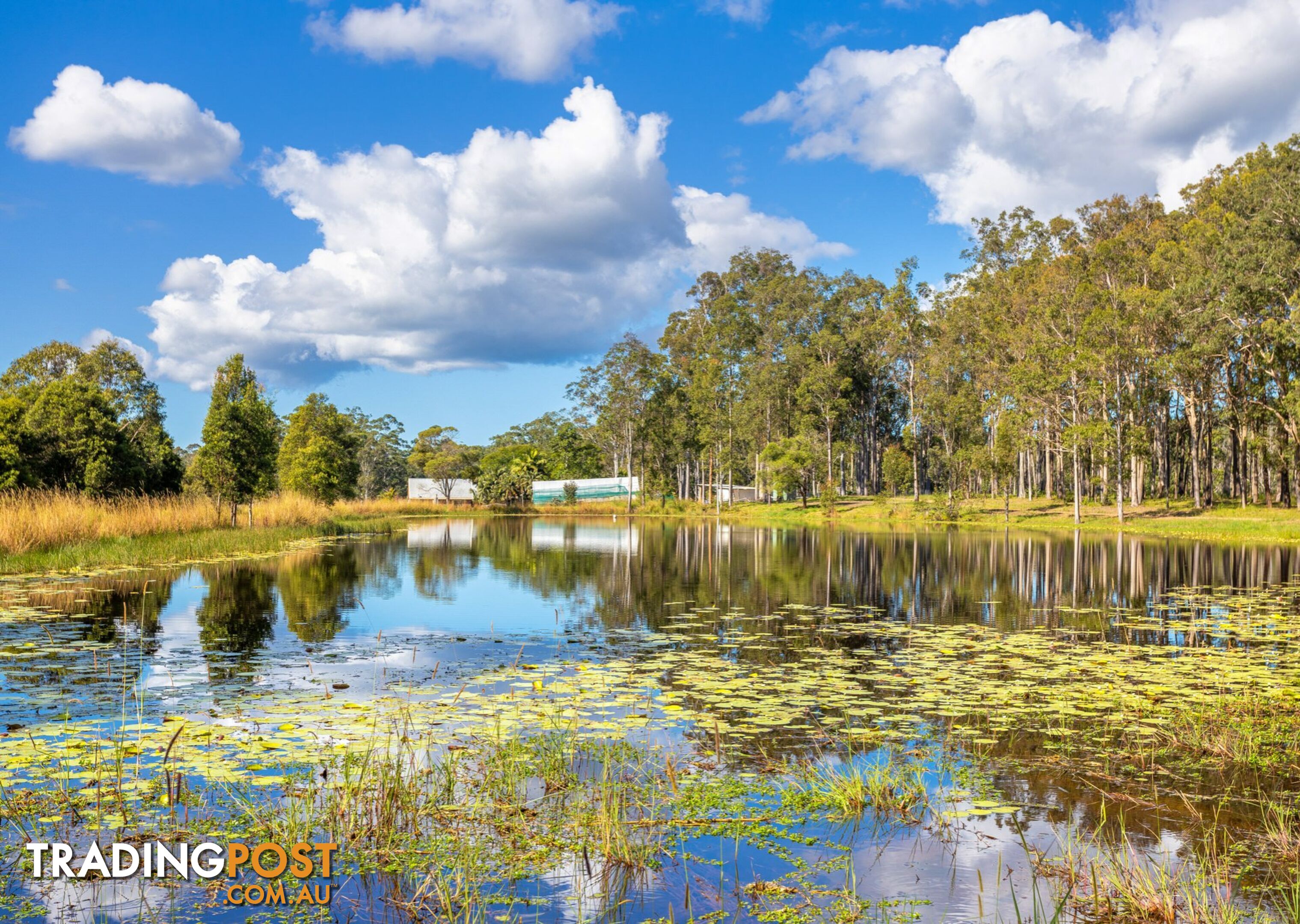 Parkland Wholesale Nursery TINONEE NSW 2430