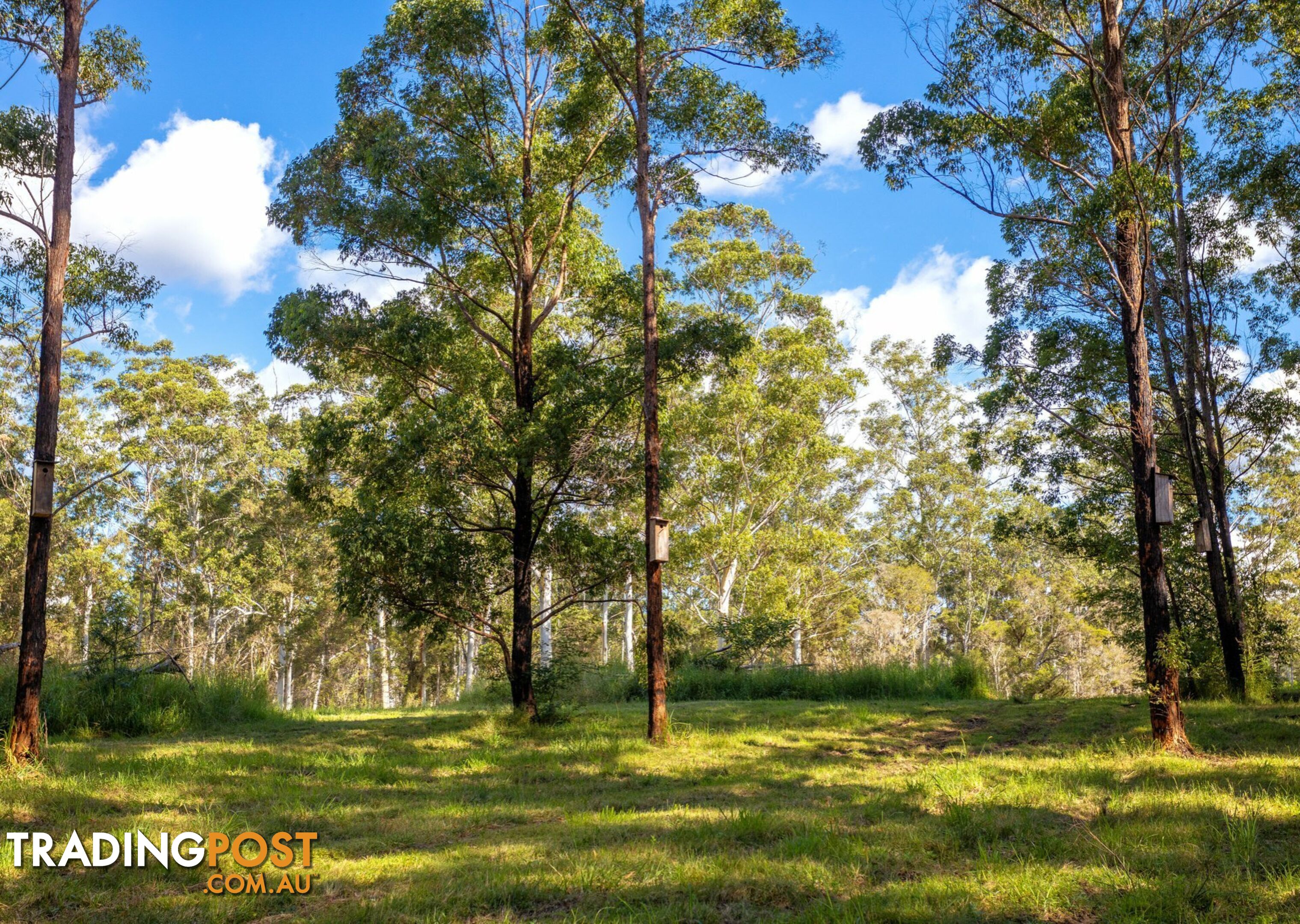 Parkland Wholesale Nursery TINONEE NSW 2430