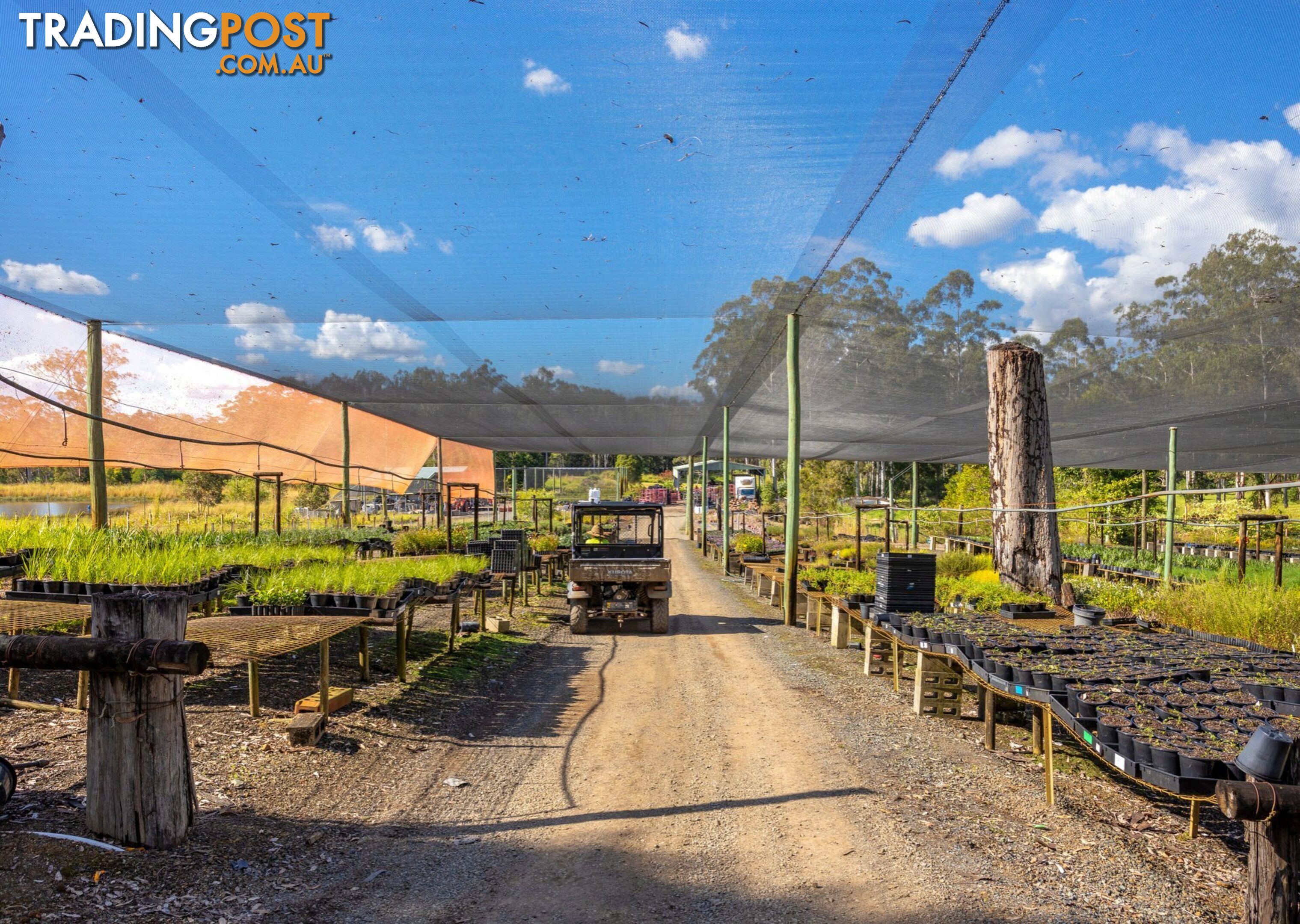 Parkland Wholesale Nursery TINONEE NSW 2430