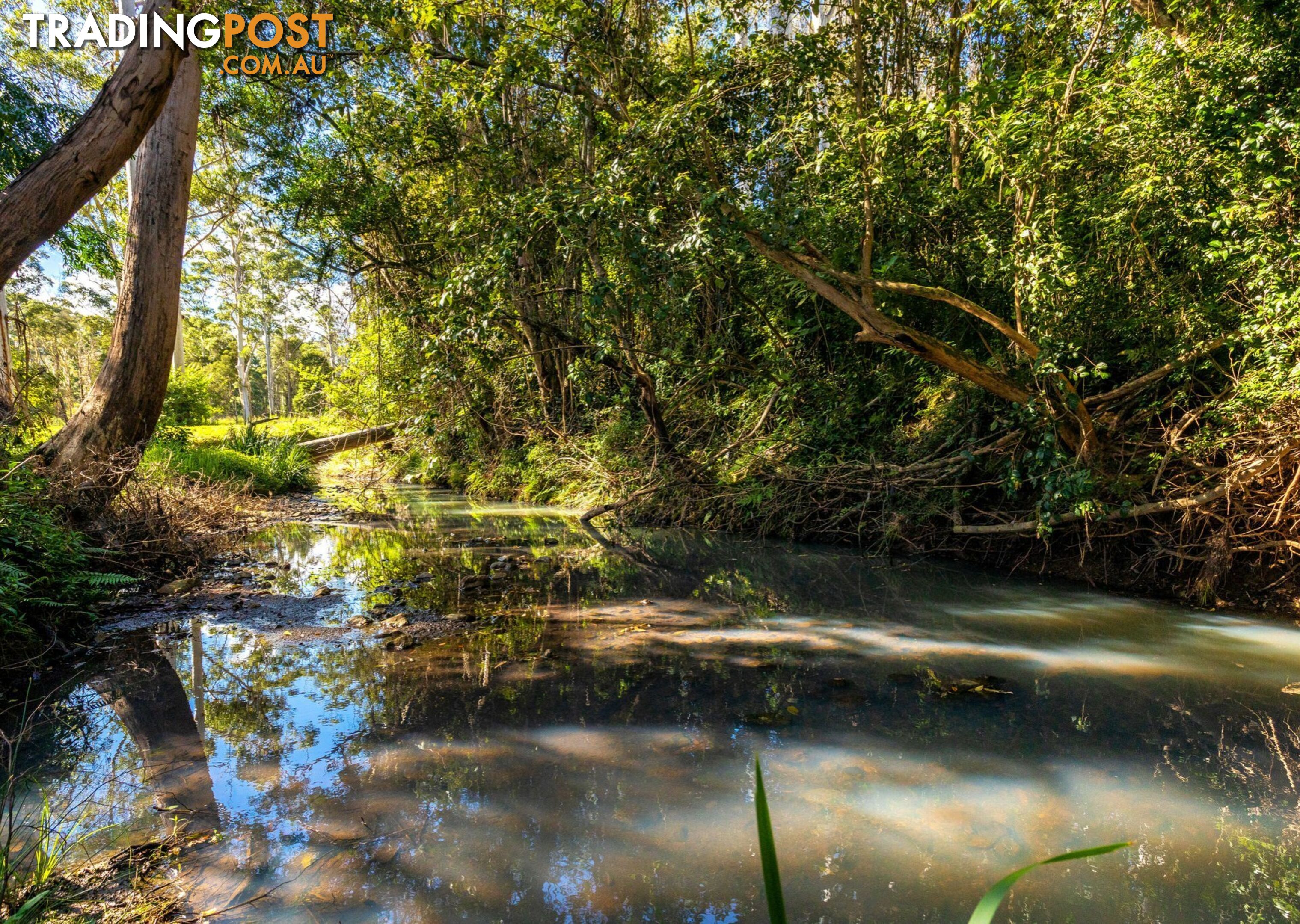 Parkland Wholesale Nursery TINONEE NSW 2430