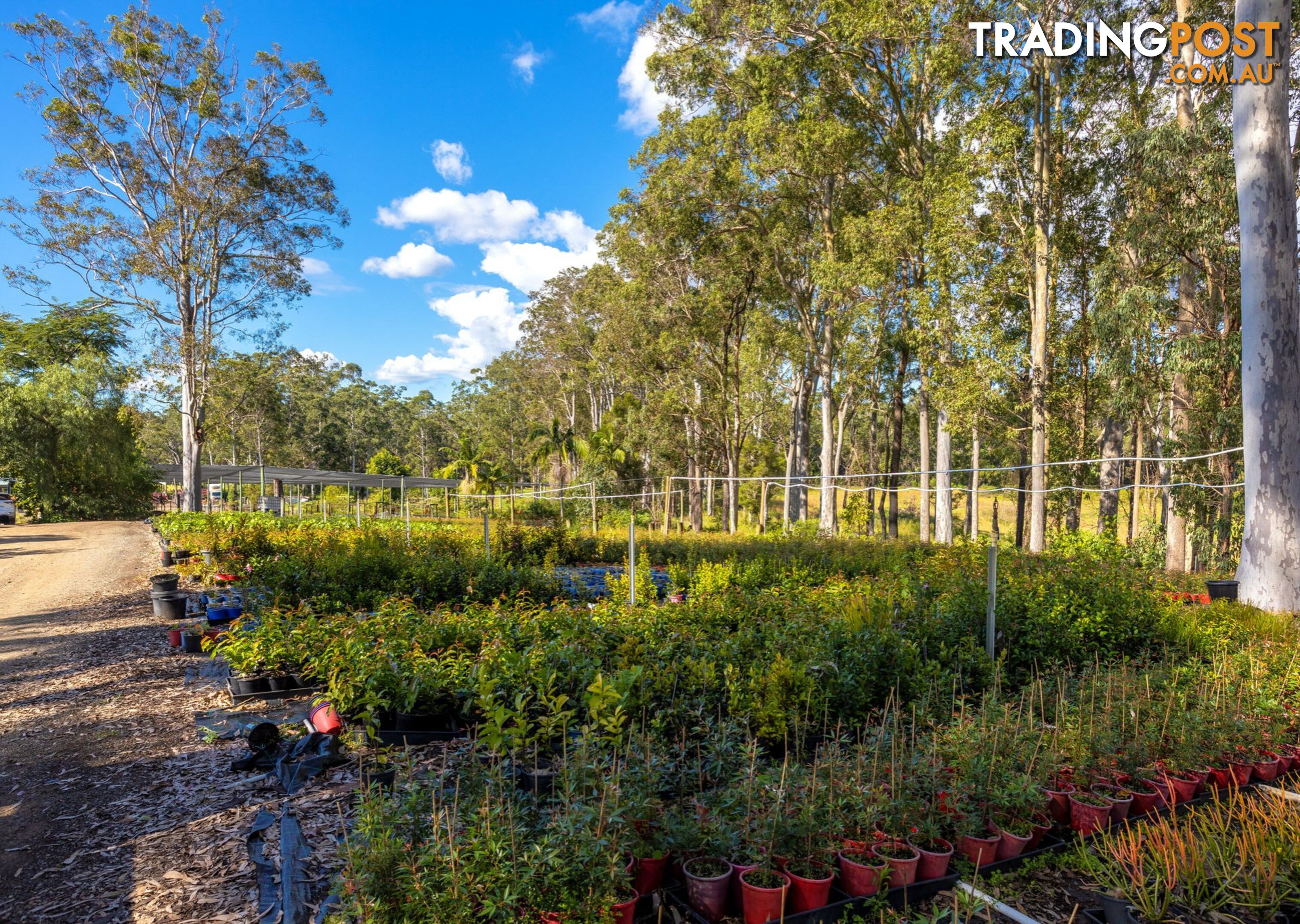 Parkland Wholesale Nursery TINONEE NSW 2430