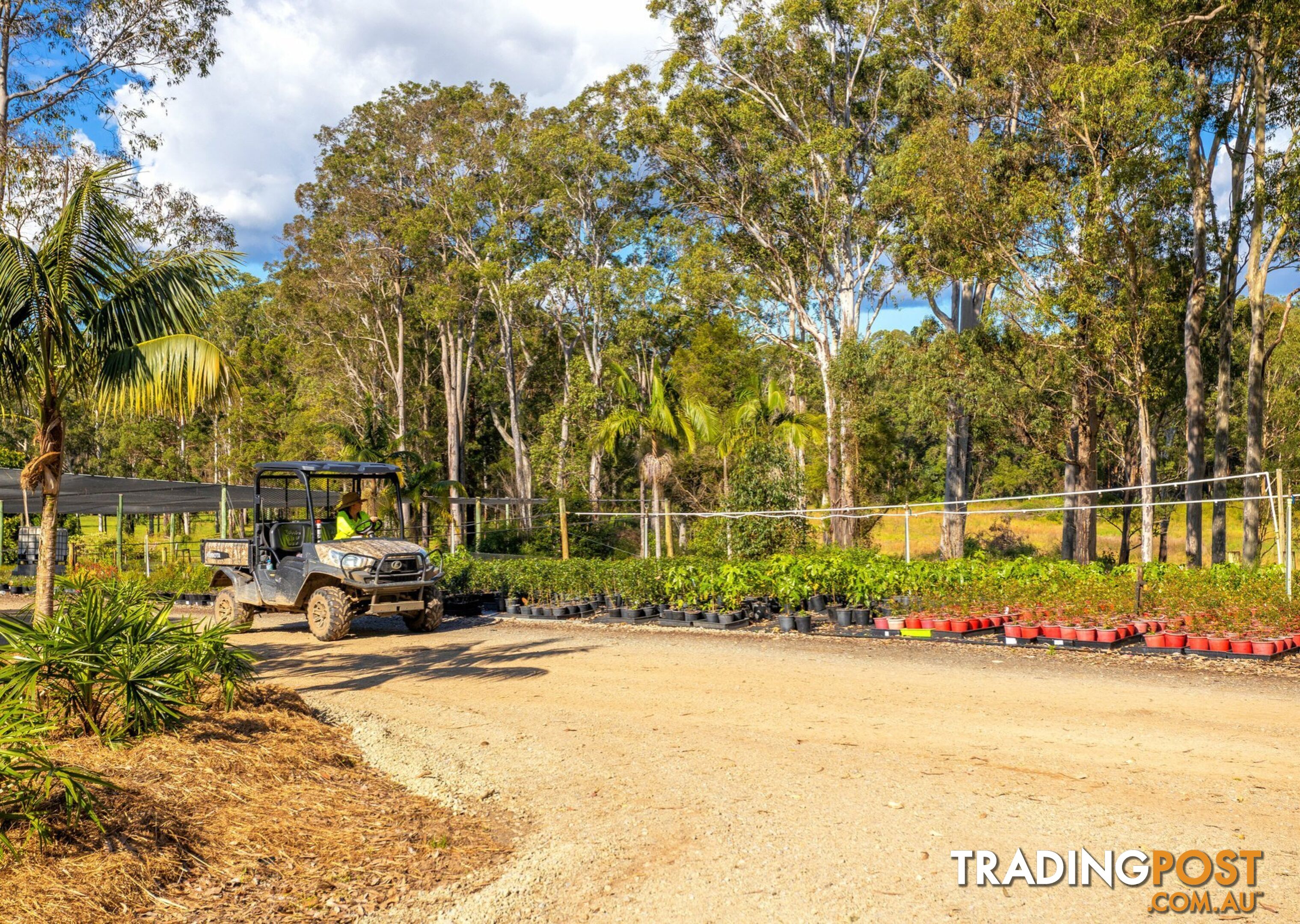 Parkland Wholesale Nursery TINONEE NSW 2430