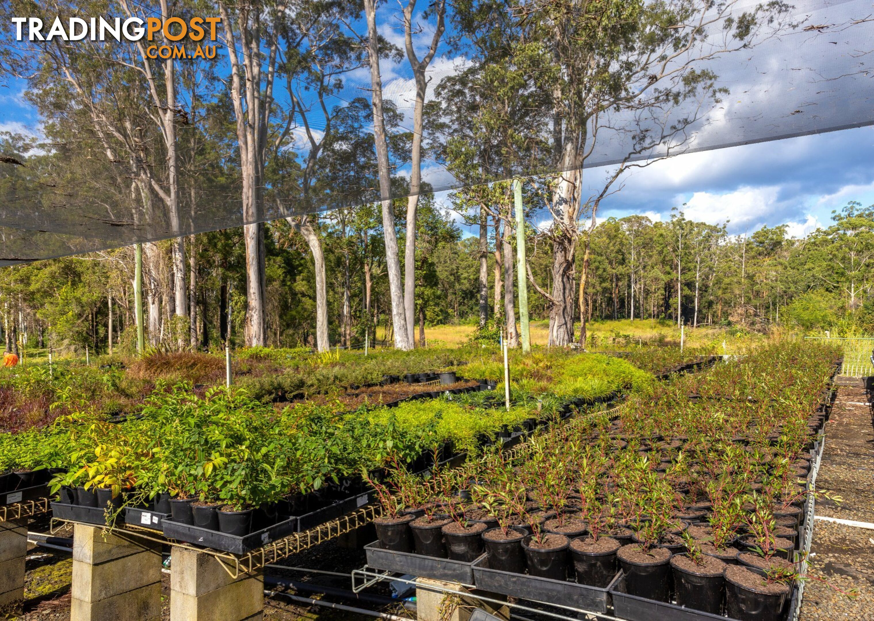 Parkland Wholesale Nursery TINONEE NSW 2430