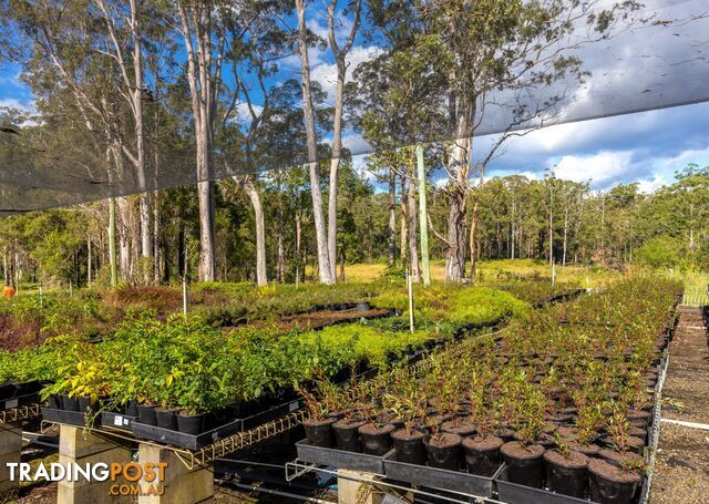 Parkland Wholesale Nursery TINONEE NSW 2430