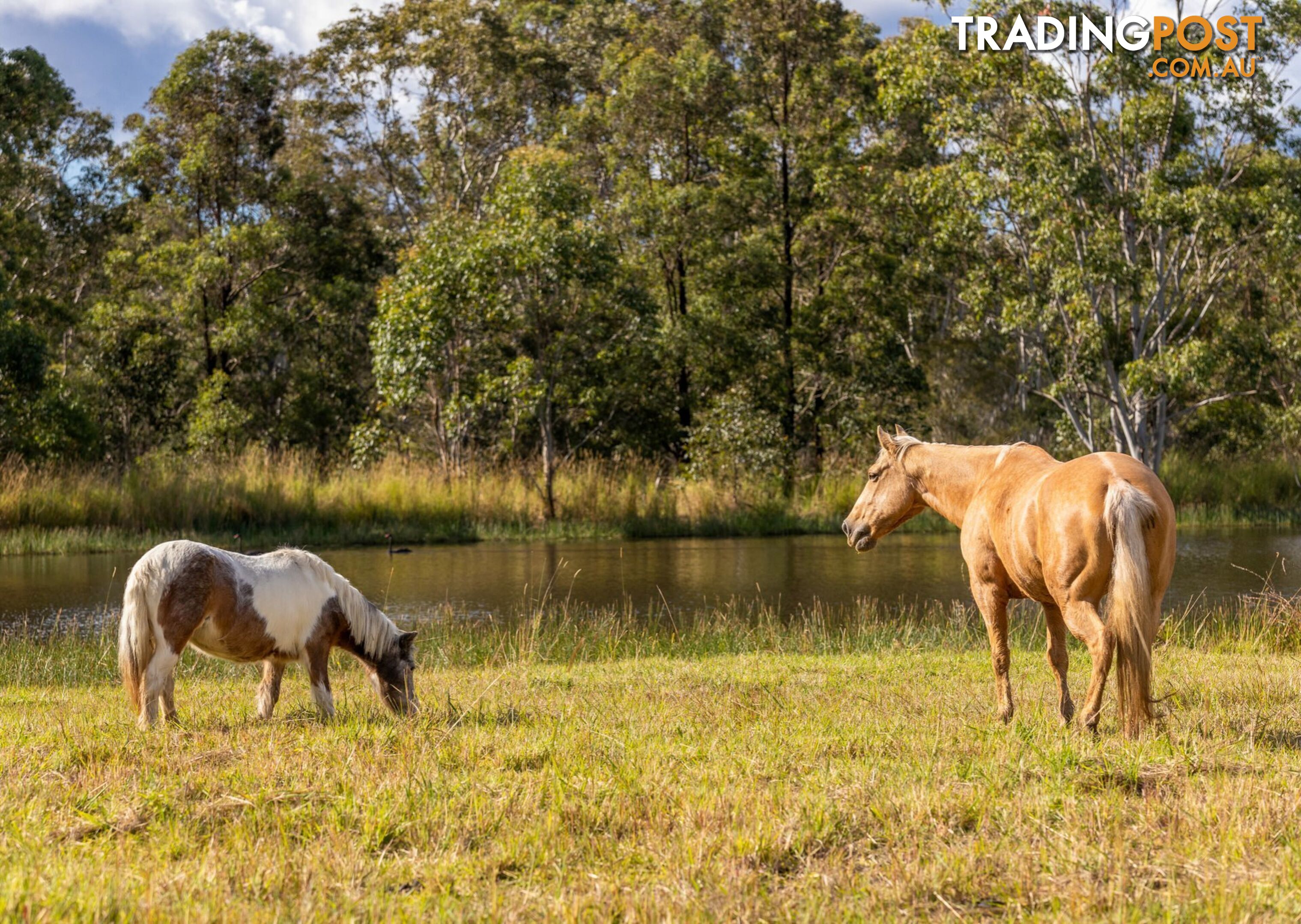 159 Bull Hill Road TINONEE NSW 2430