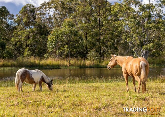 159 Bull Hill Road TINONEE NSW 2430