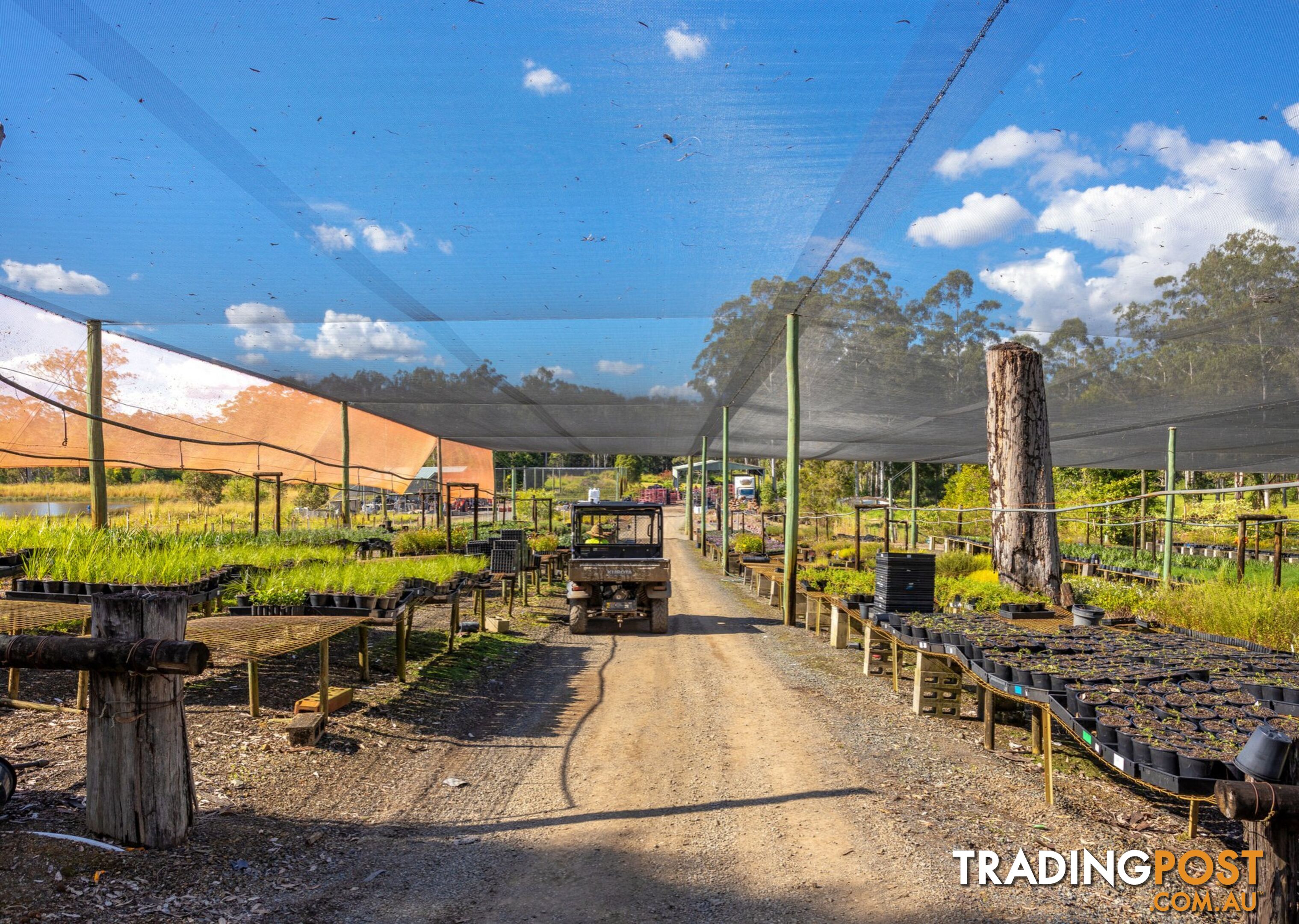 159 Bull Hill Road TINONEE NSW 2430