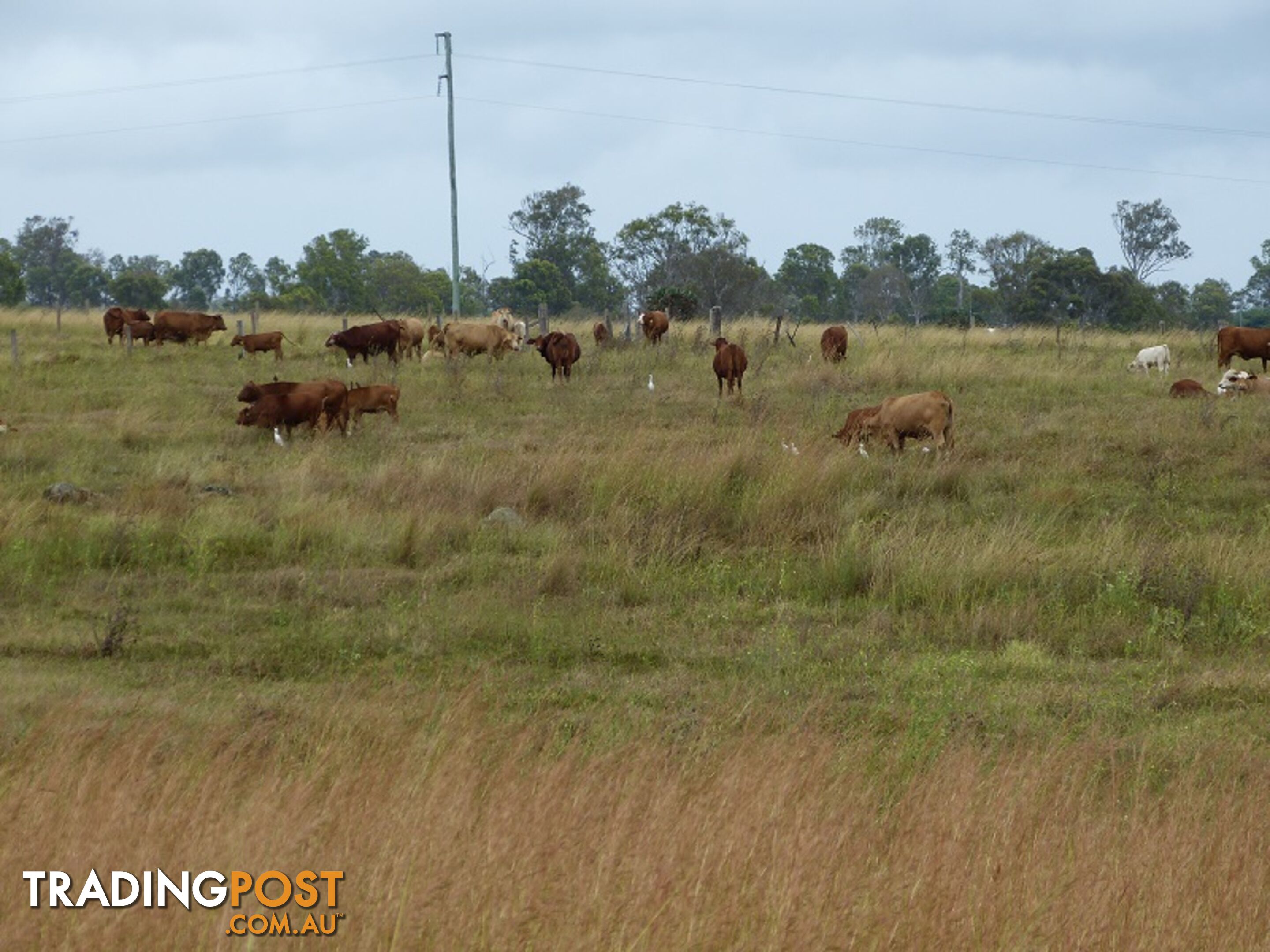 1 Mayne st TIARO QLD 4650