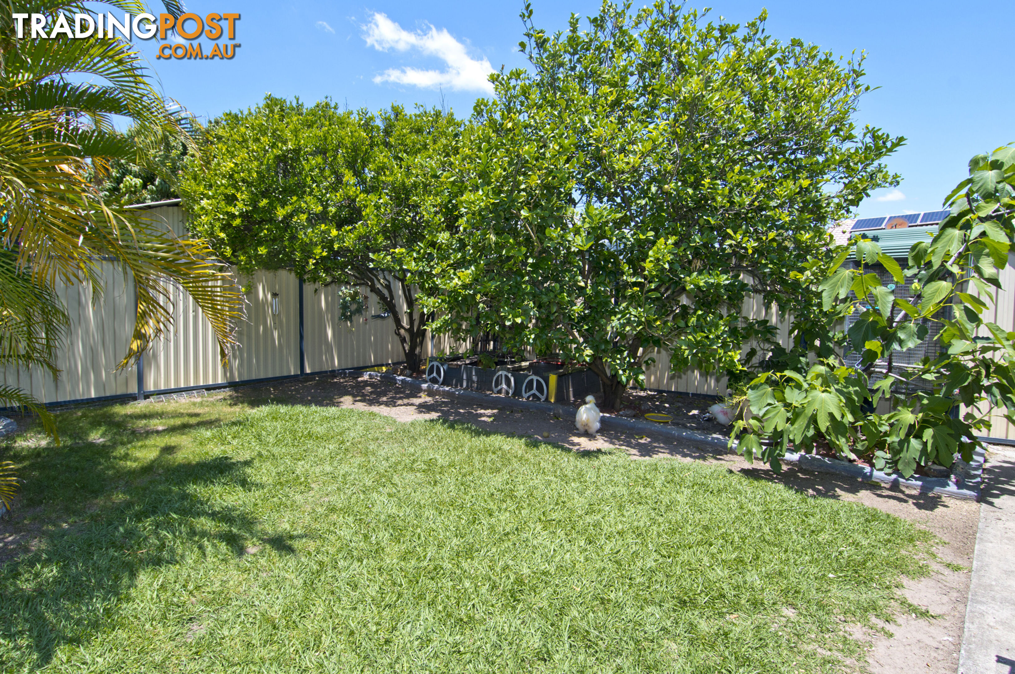 24 Kao Street MARSDEN QLD 4132