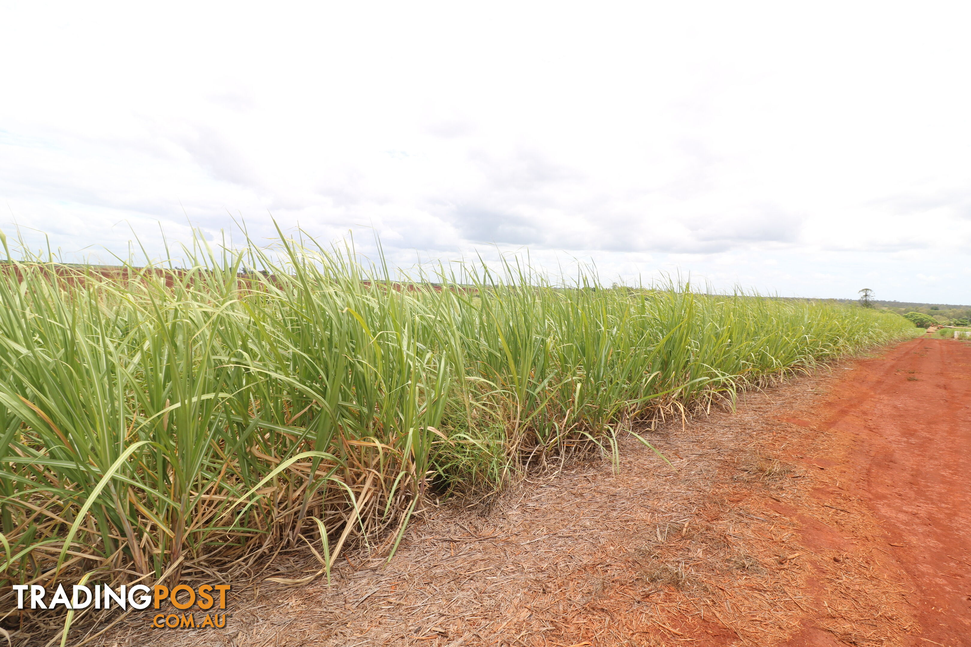 North Isis QLD 4660