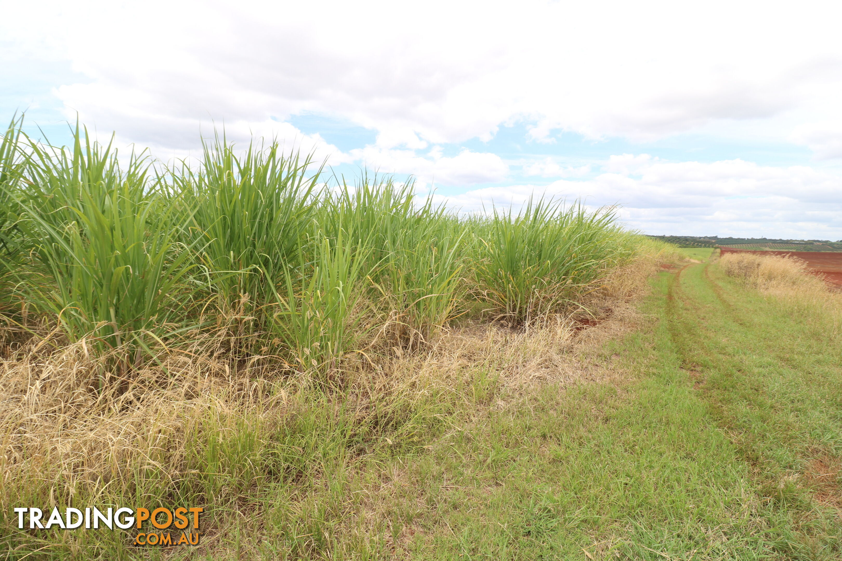 North Isis QLD 4660