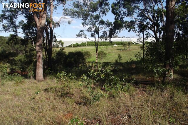 121 Chappell Hills Road South Isis QLD 4660