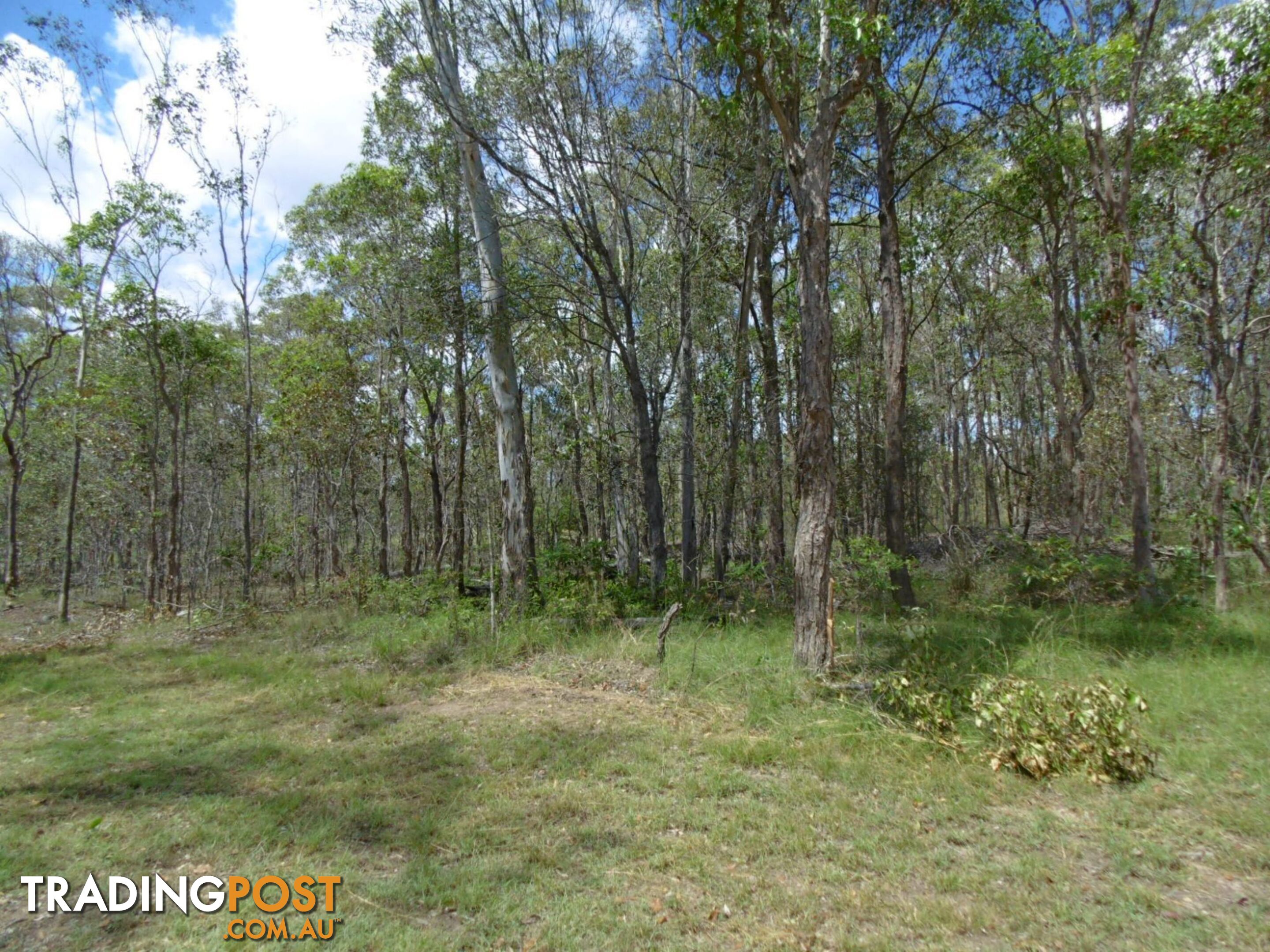 Lot 10 Park Avenue North Isis QLD 4660