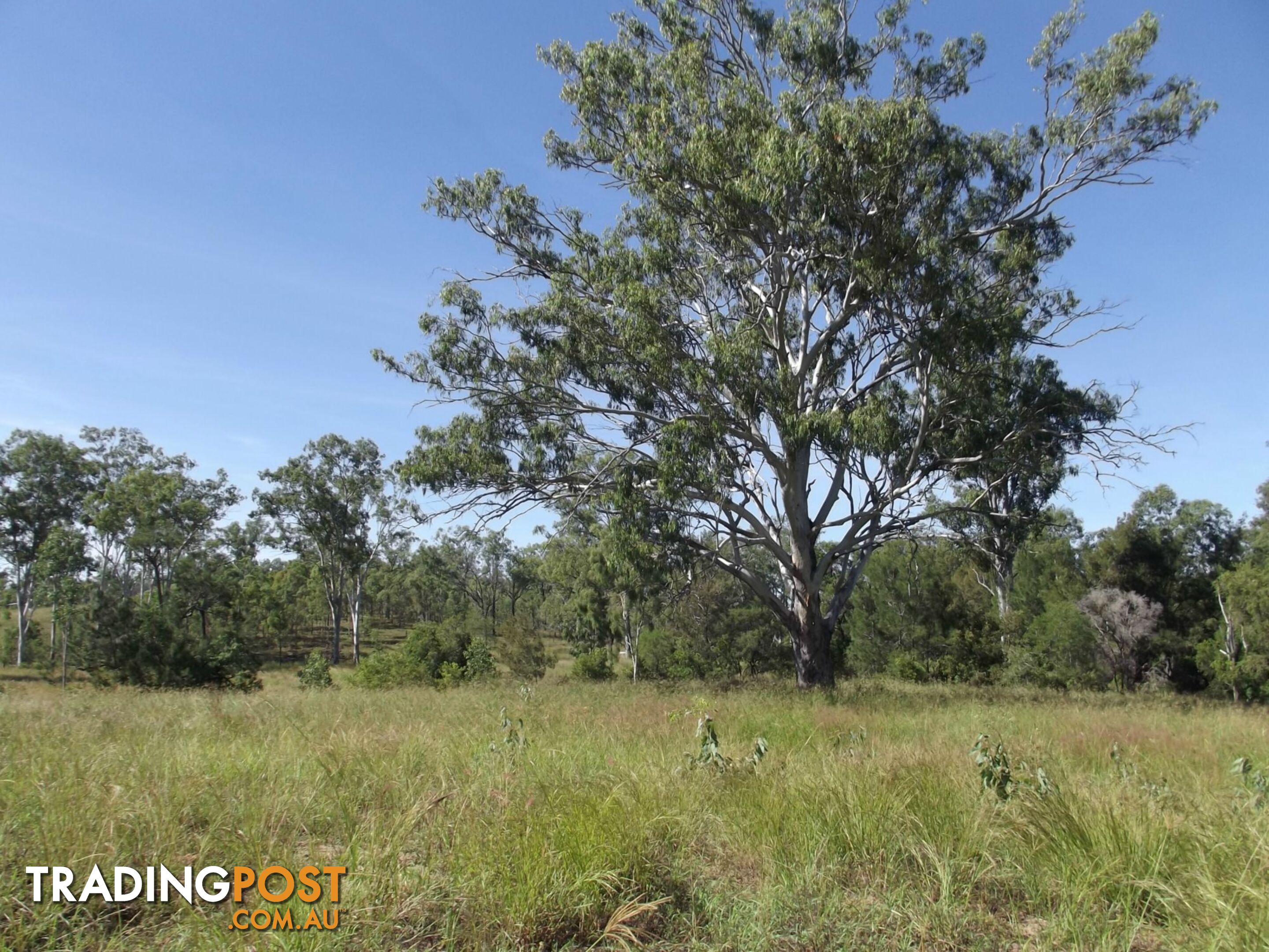 Lot 1 Booyal Dallarnil Road Dallarnil QLD 4621