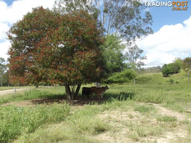 251 Fairview Creek Road Biggenden QLD 4621