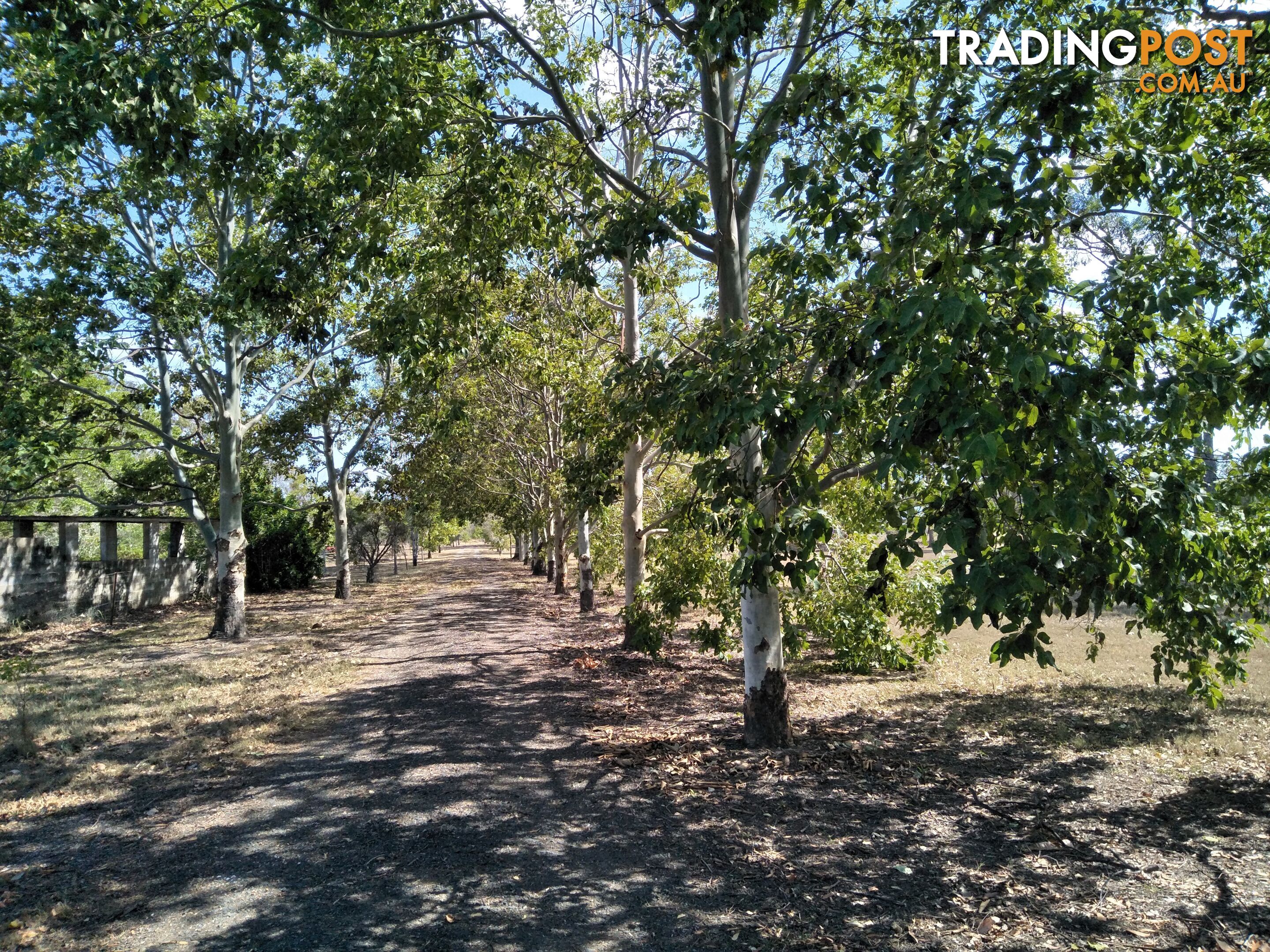 1626 Buxton Rd Buxton QLD 4660