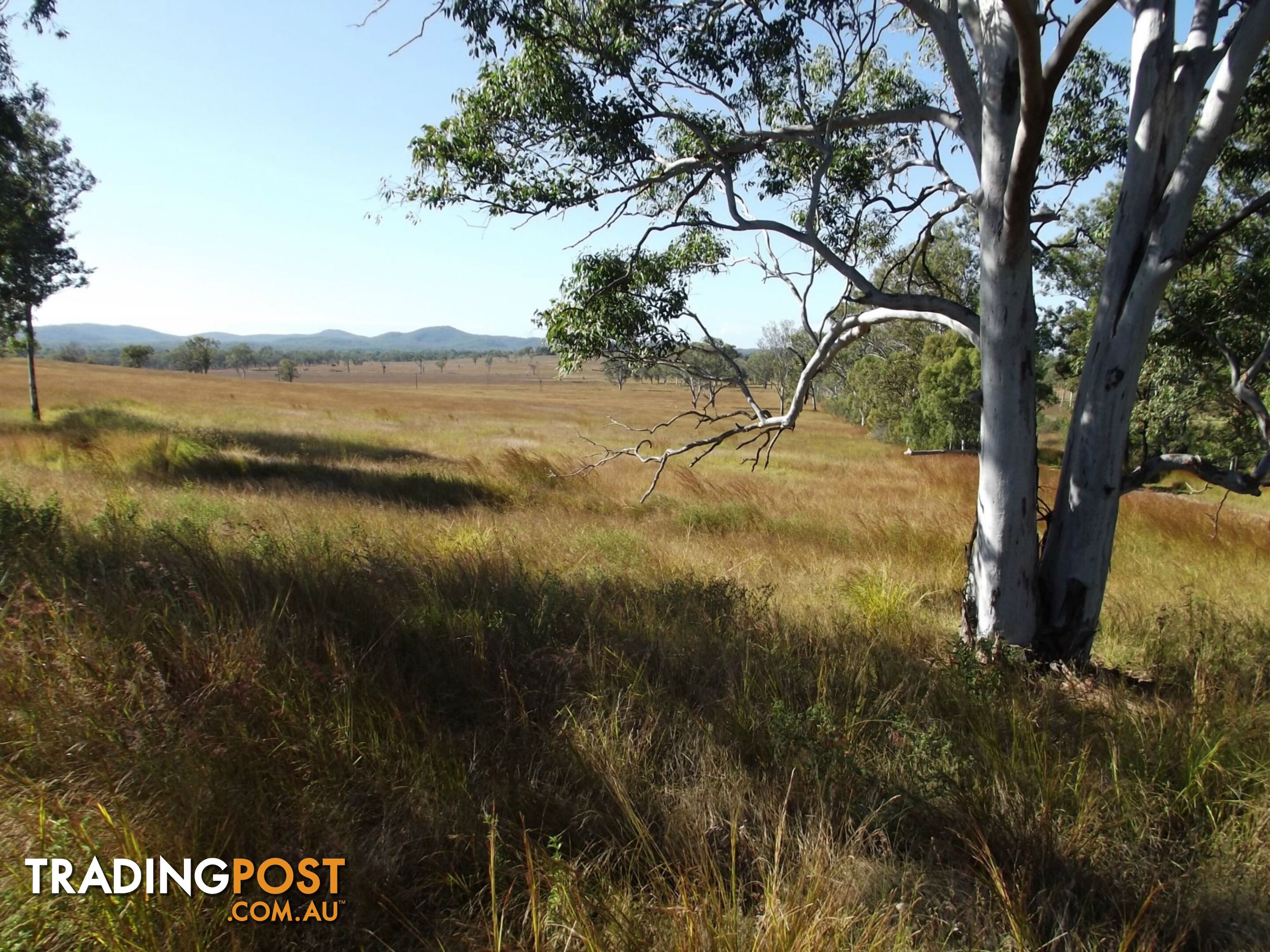 Lot 22 Gooroolba-Biggenden Road Degilbo QLD 4621