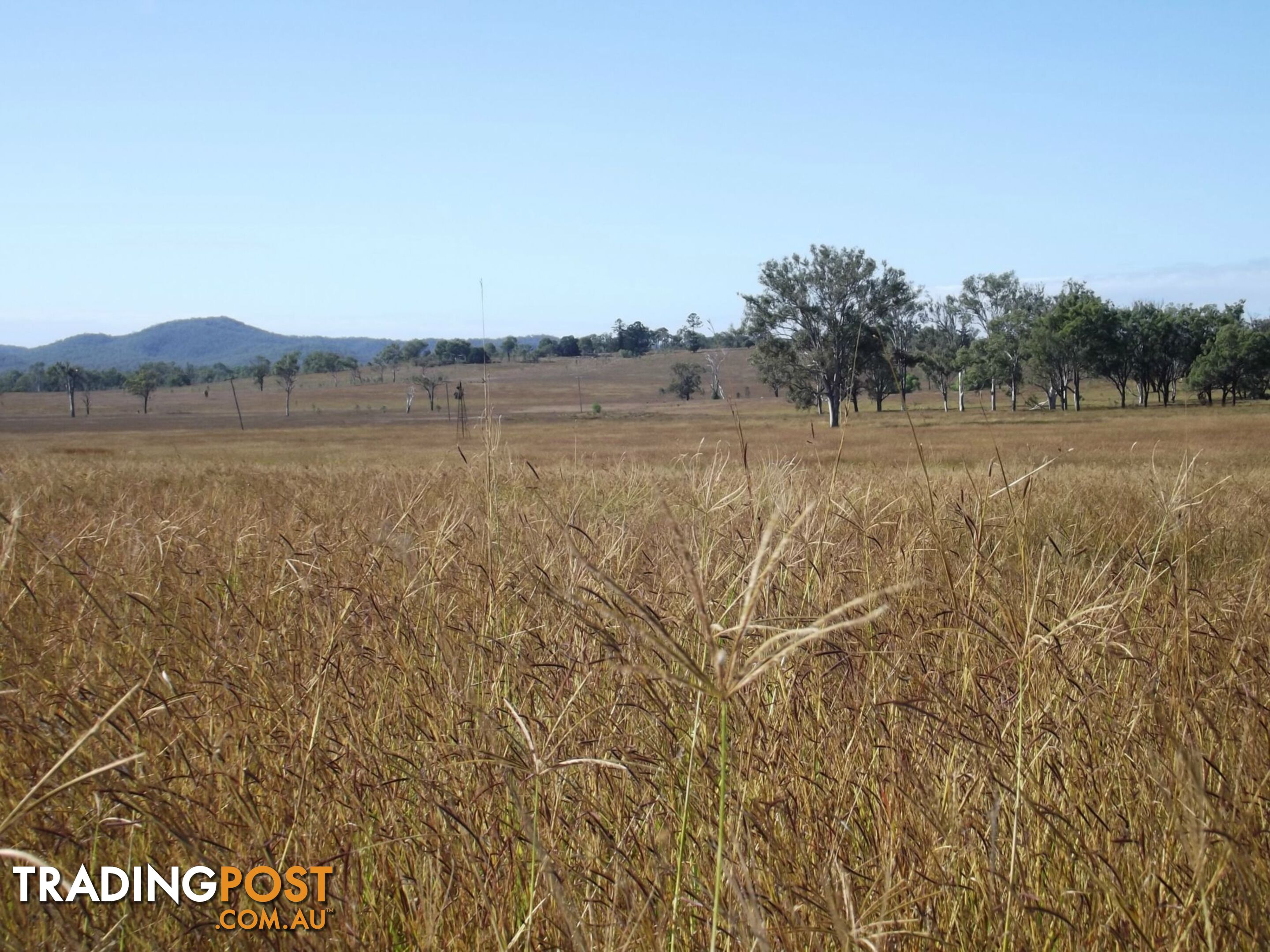 Lot 22 Gooroolba-Biggenden Road Degilbo QLD 4621