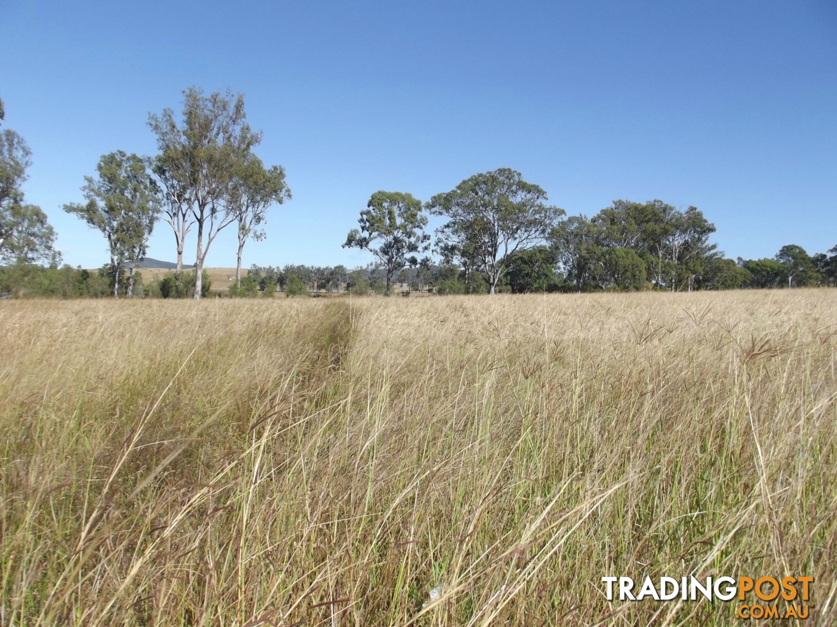 Lot 22 Gooroolba-Biggenden Road Degilbo QLD 4621