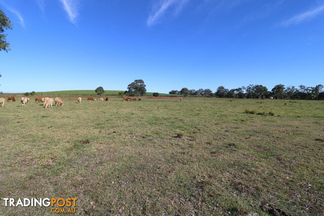 156 Conlons Rd Horton QLD 4660