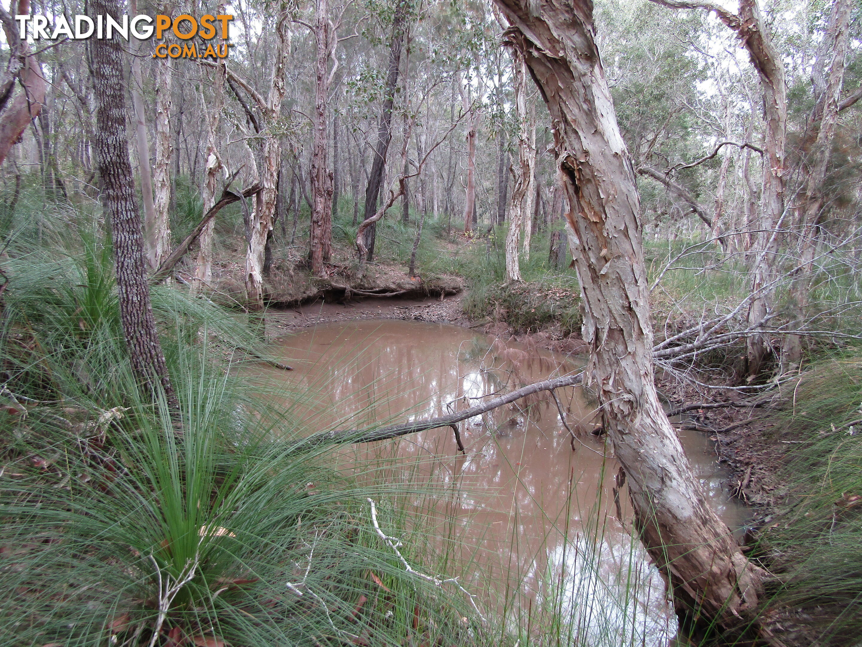 149 Blacks Rd Isis River QLD 4660