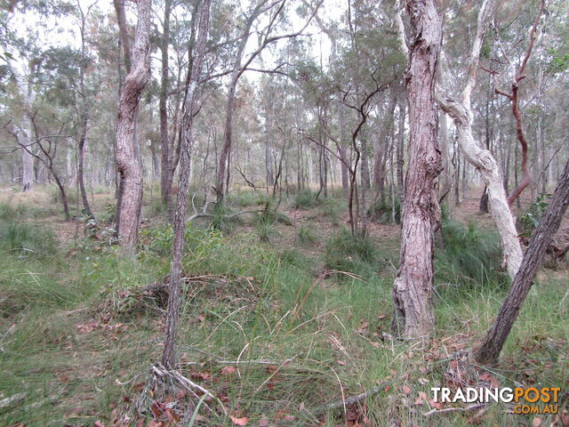 149 Blacks Rd Isis River QLD 4660