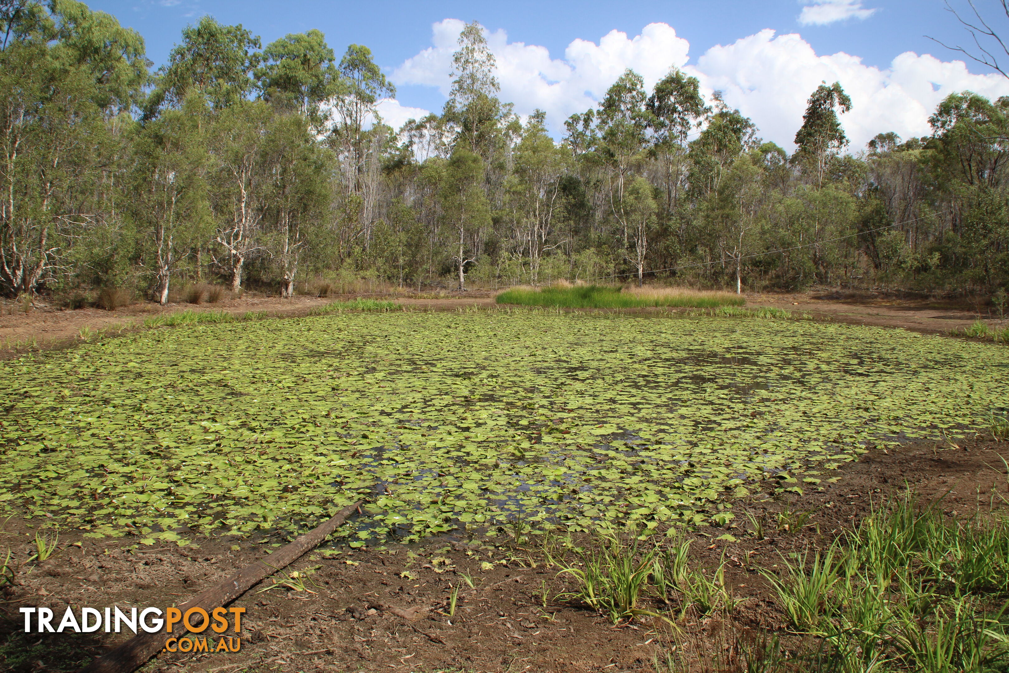 26 Larsens Rd Isis Central QLD 4660