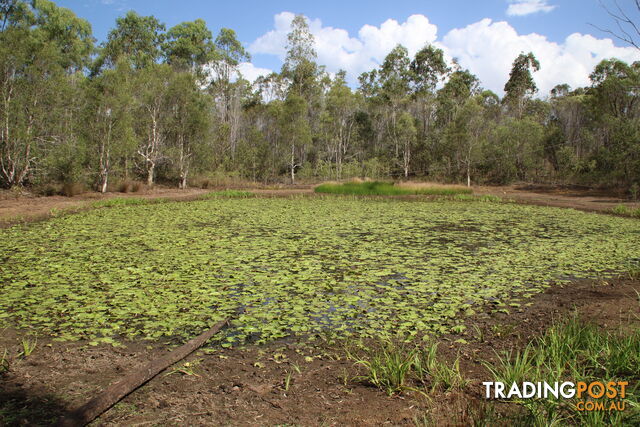 26 Larsens Rd Isis Central QLD 4660