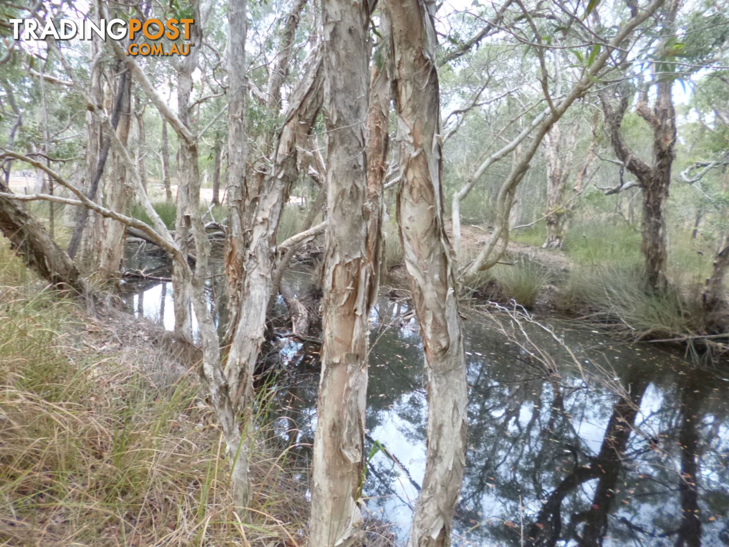 Lot 6 Blue Gum Dr Redridge QLD 4660