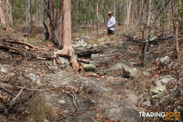 11341 Isis Hwy Biggenden QLD 4621