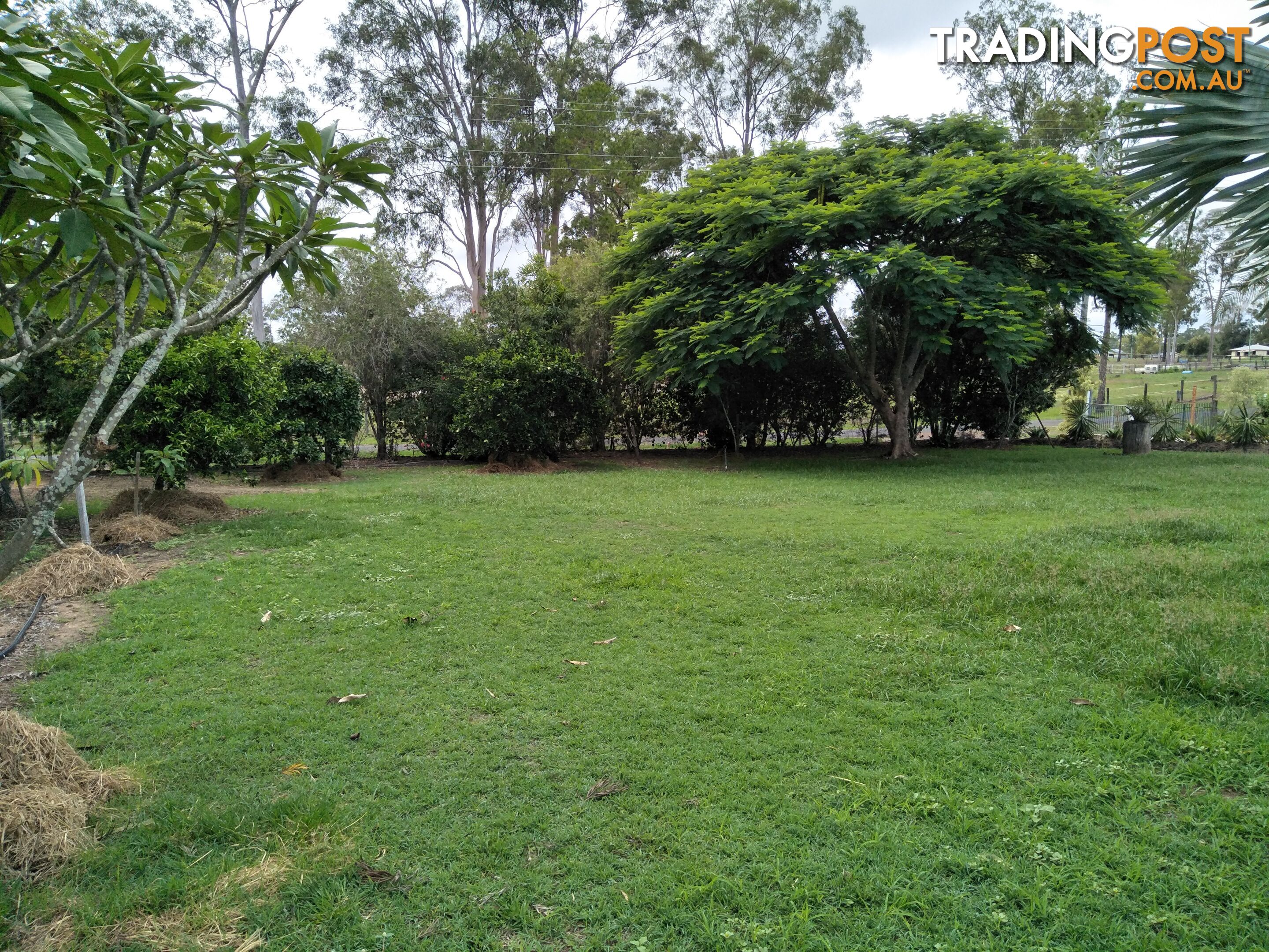 31 Warreners Rd Cordalba QLD 4660