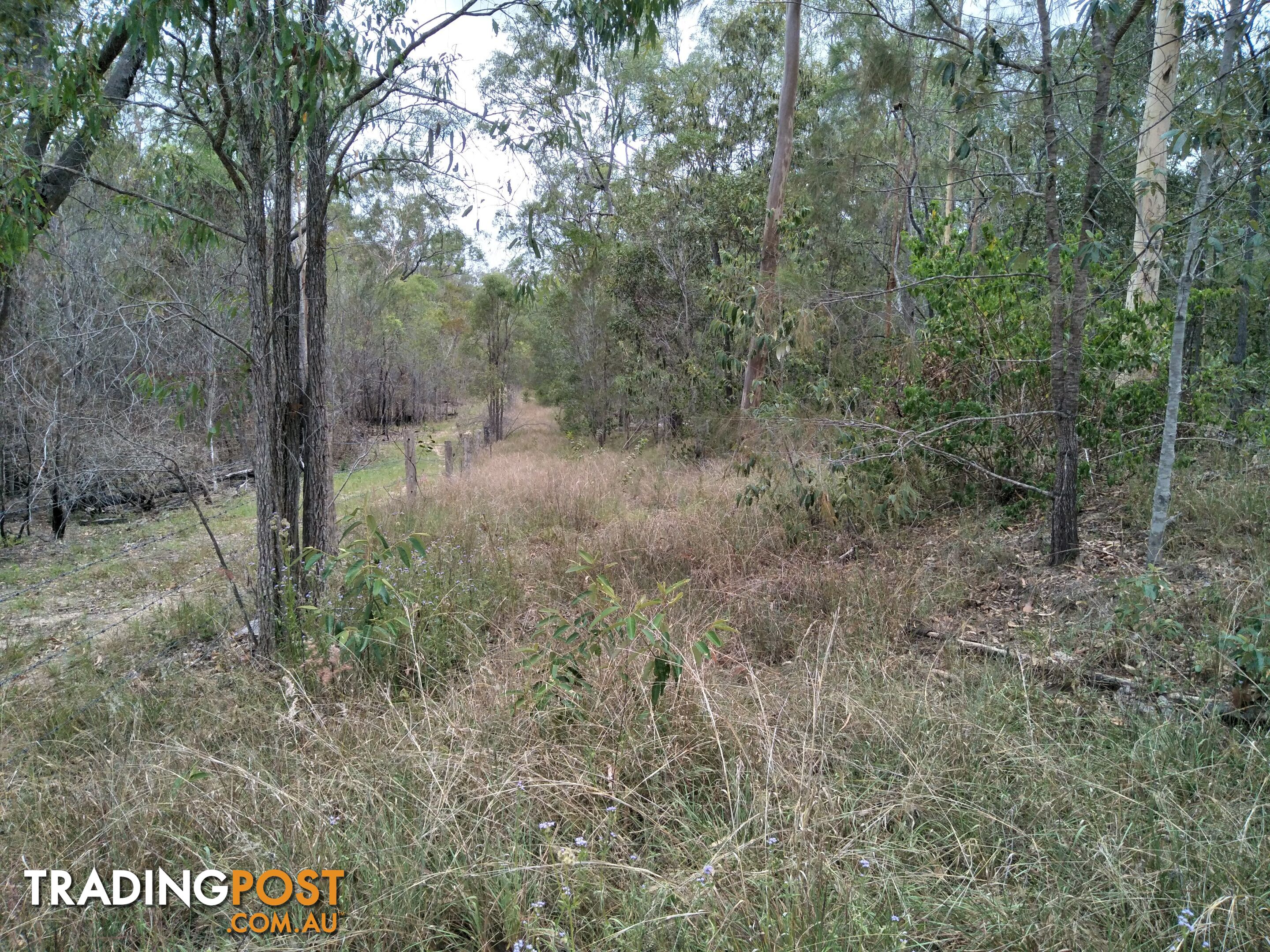 345 Berries Road Kullogum QLD 4660